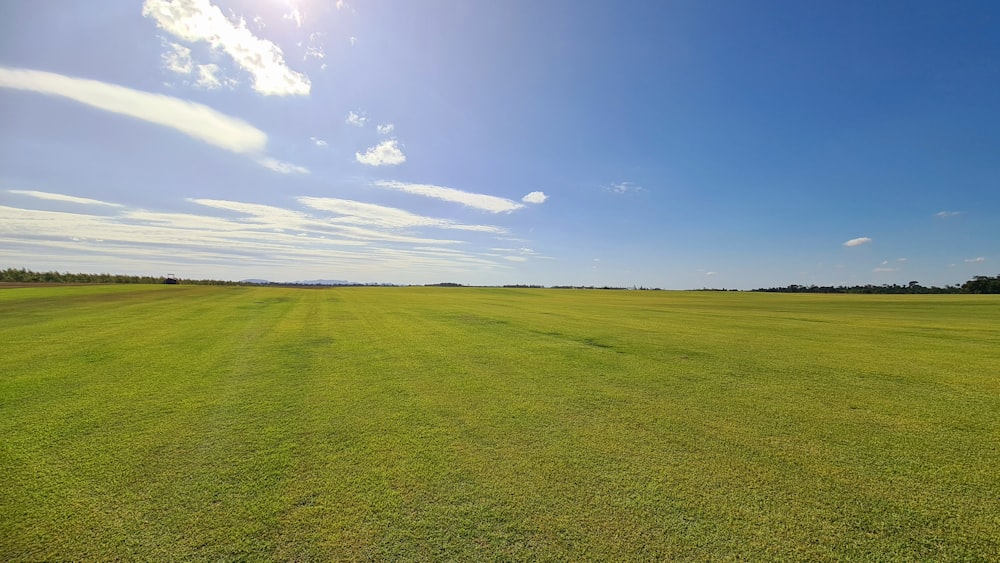 a large green field