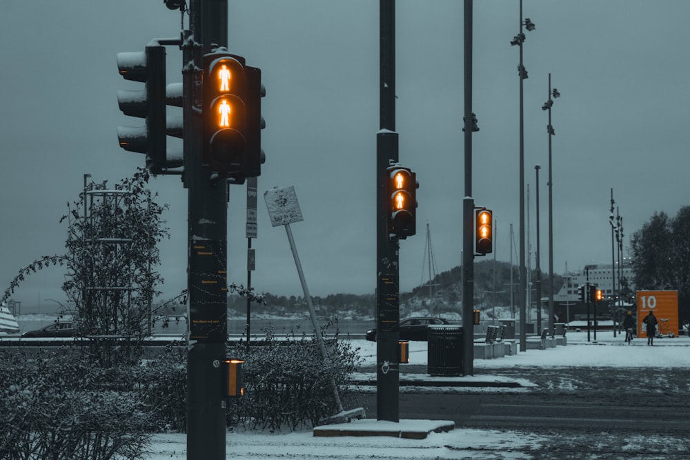 traffic lights on a street