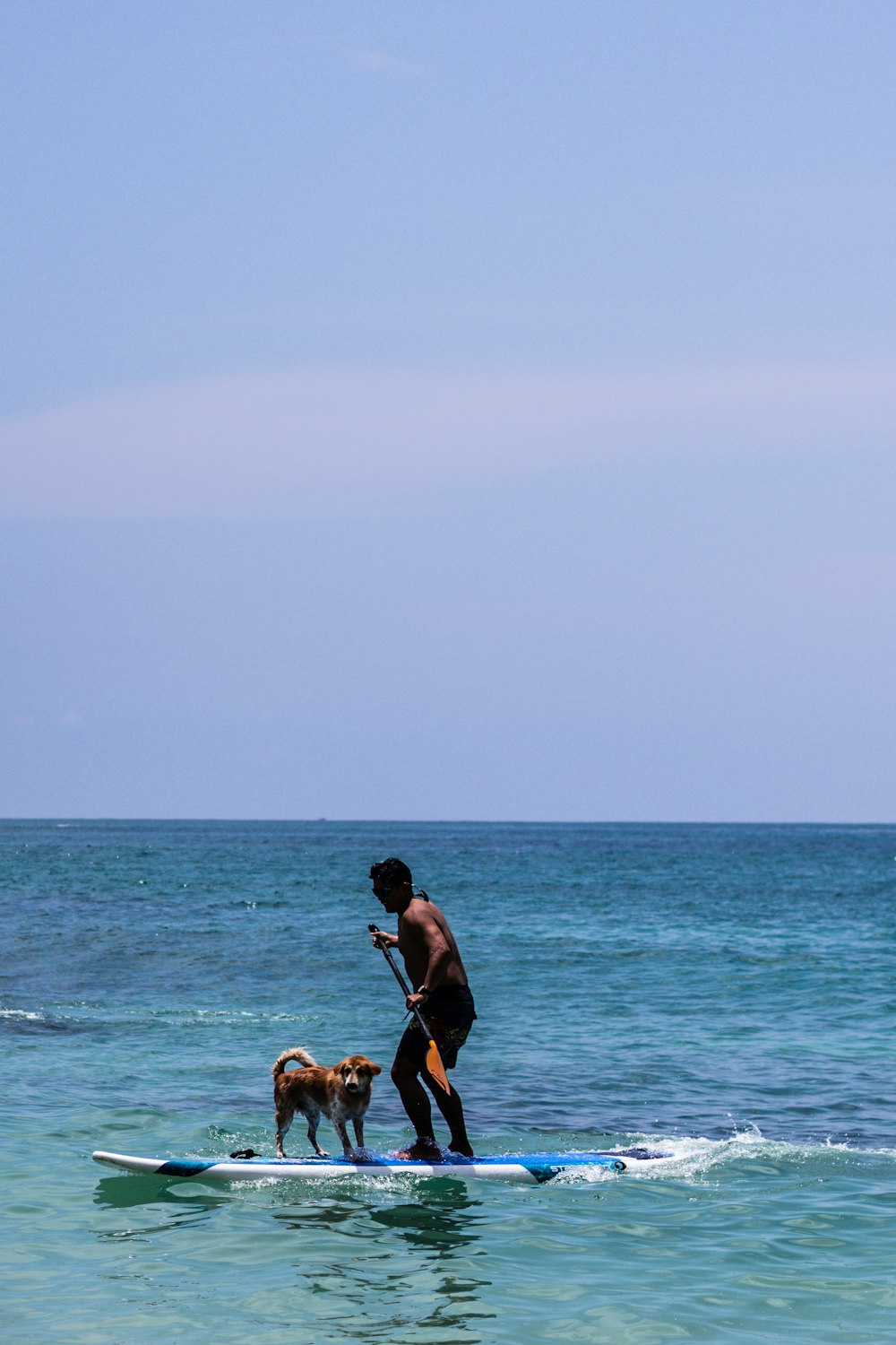 a man and a dog on a surfboard in the ocean