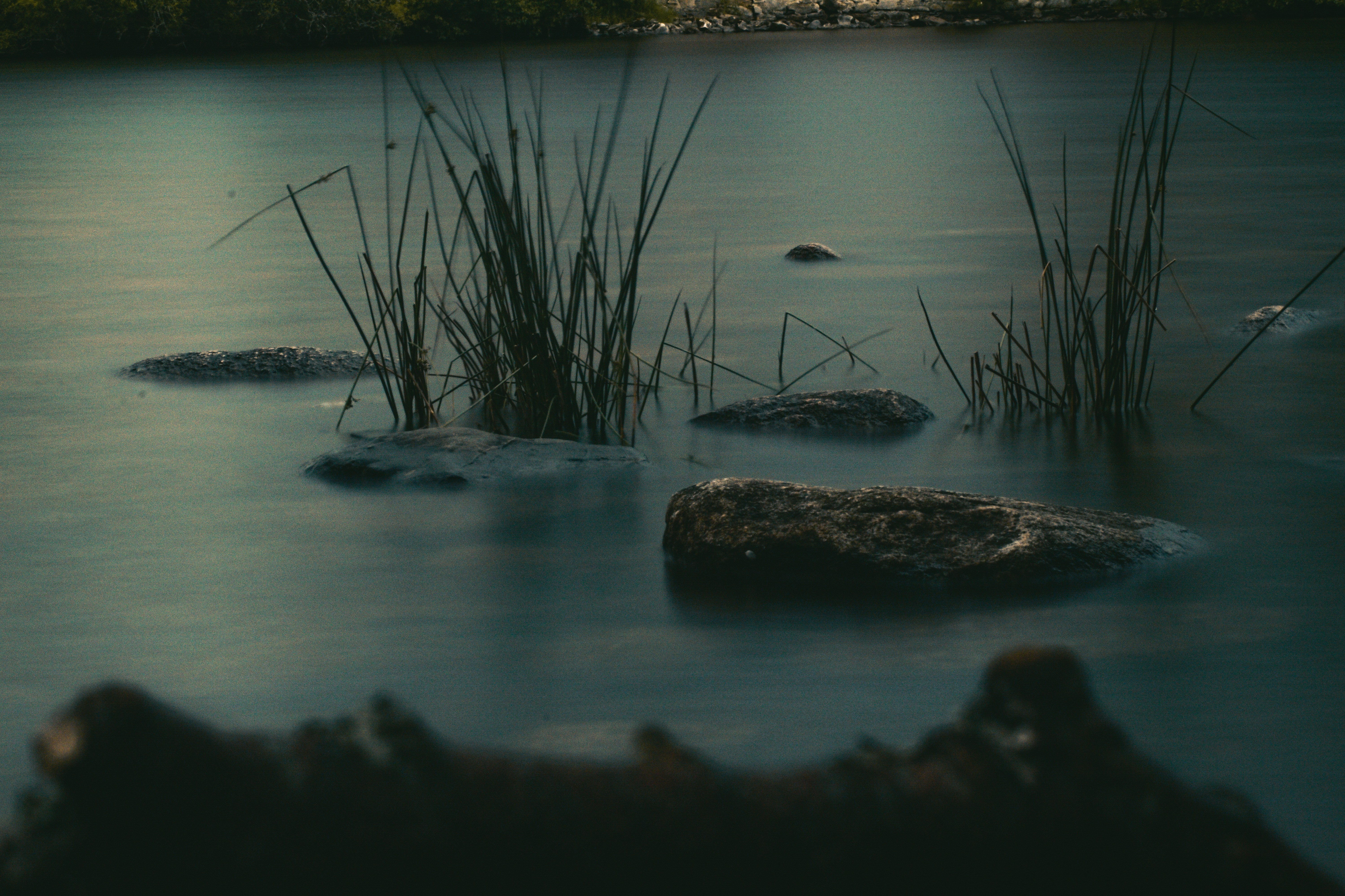 Photo by jackwhite2803