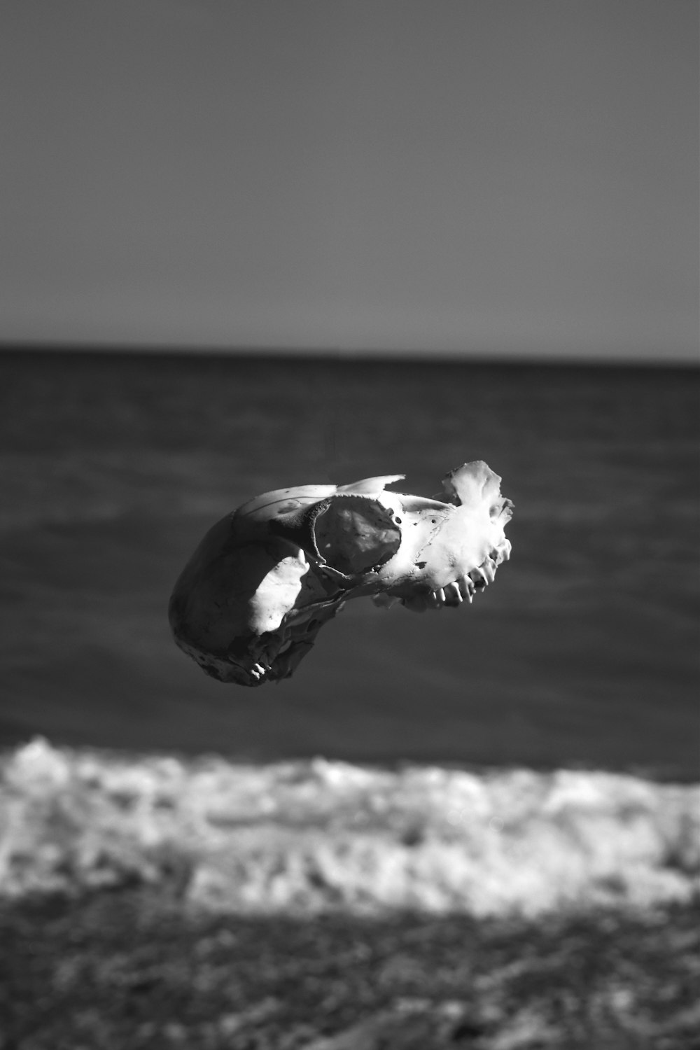 a black and white photo of a ringed object on a beach