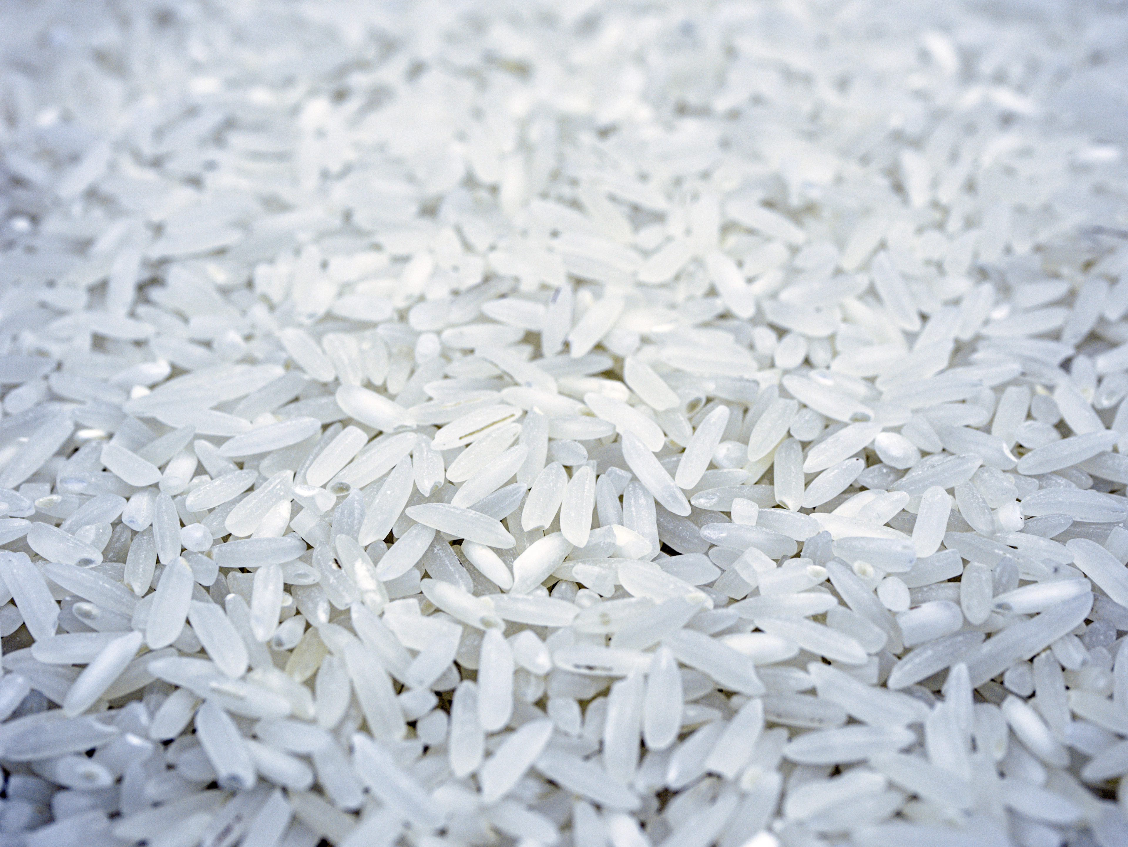 Close-up of raw long-grain white rice