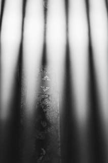 Vertical lines of light appear as bands over a textured surface with a prominent, triangular logo. The surface has a rough texture, possibly metallic or stone, and a label with letters is visible.