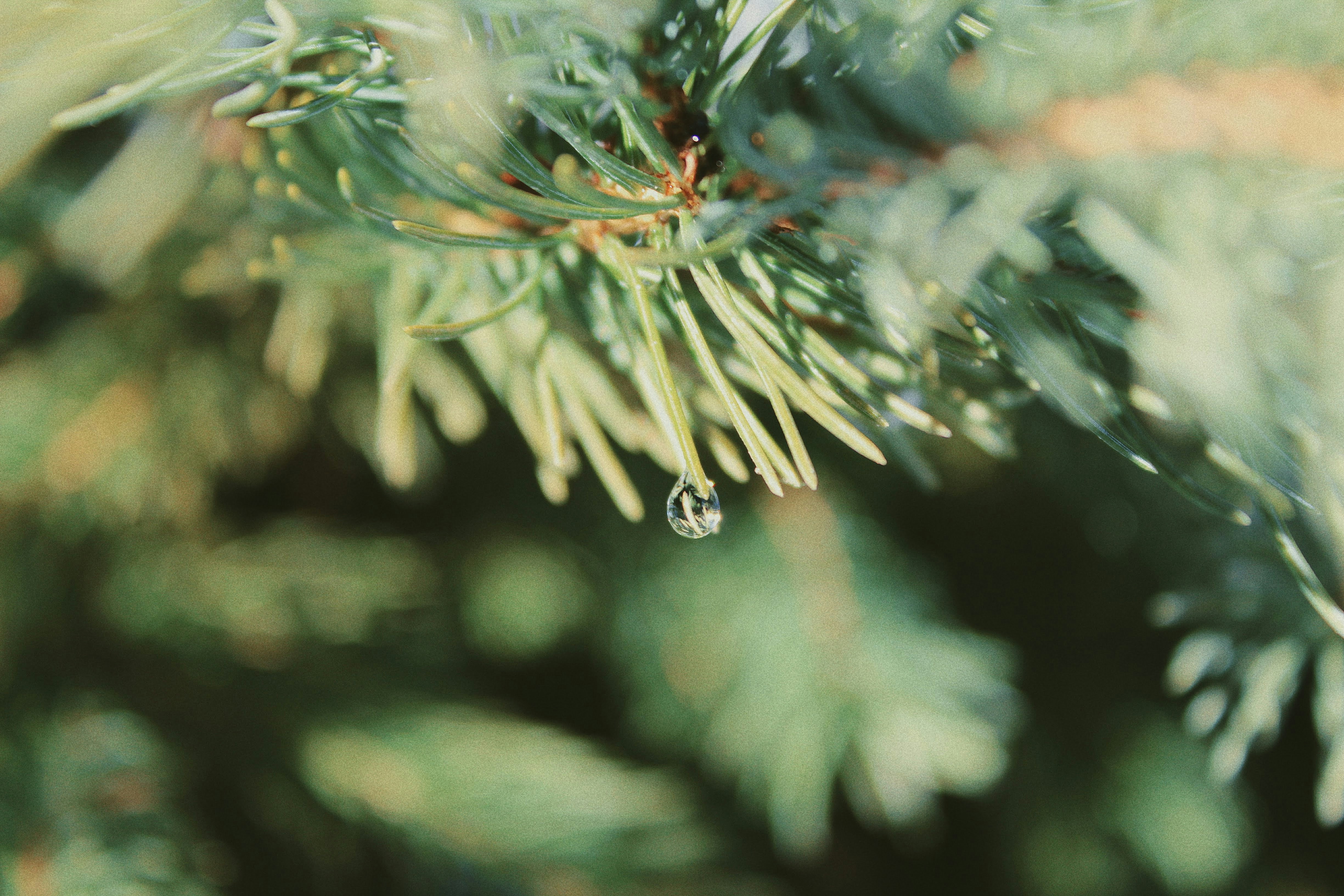 Photo by katherinestpierre