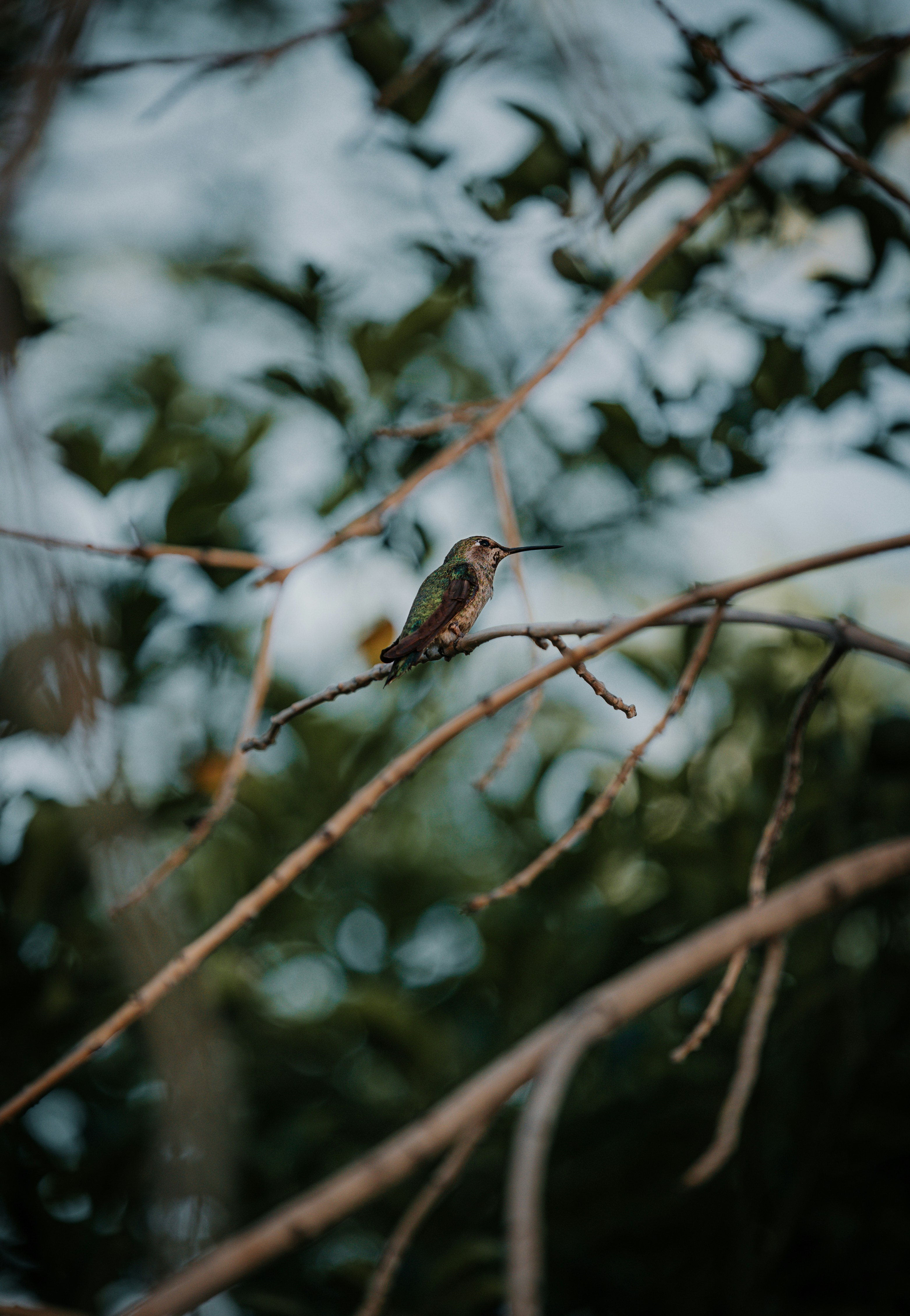 Photo by jeffersonsees