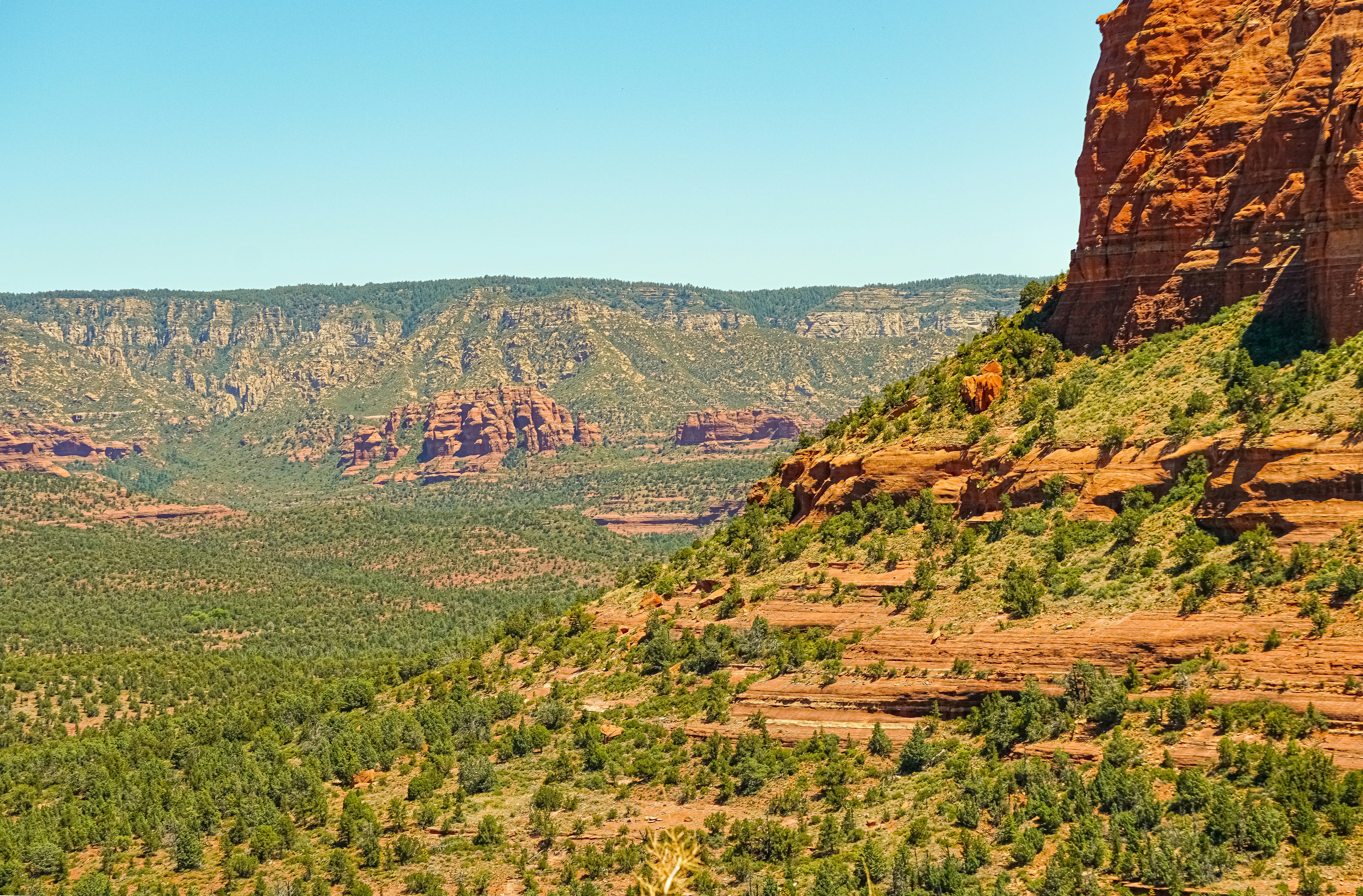 Photo by jackharris1416