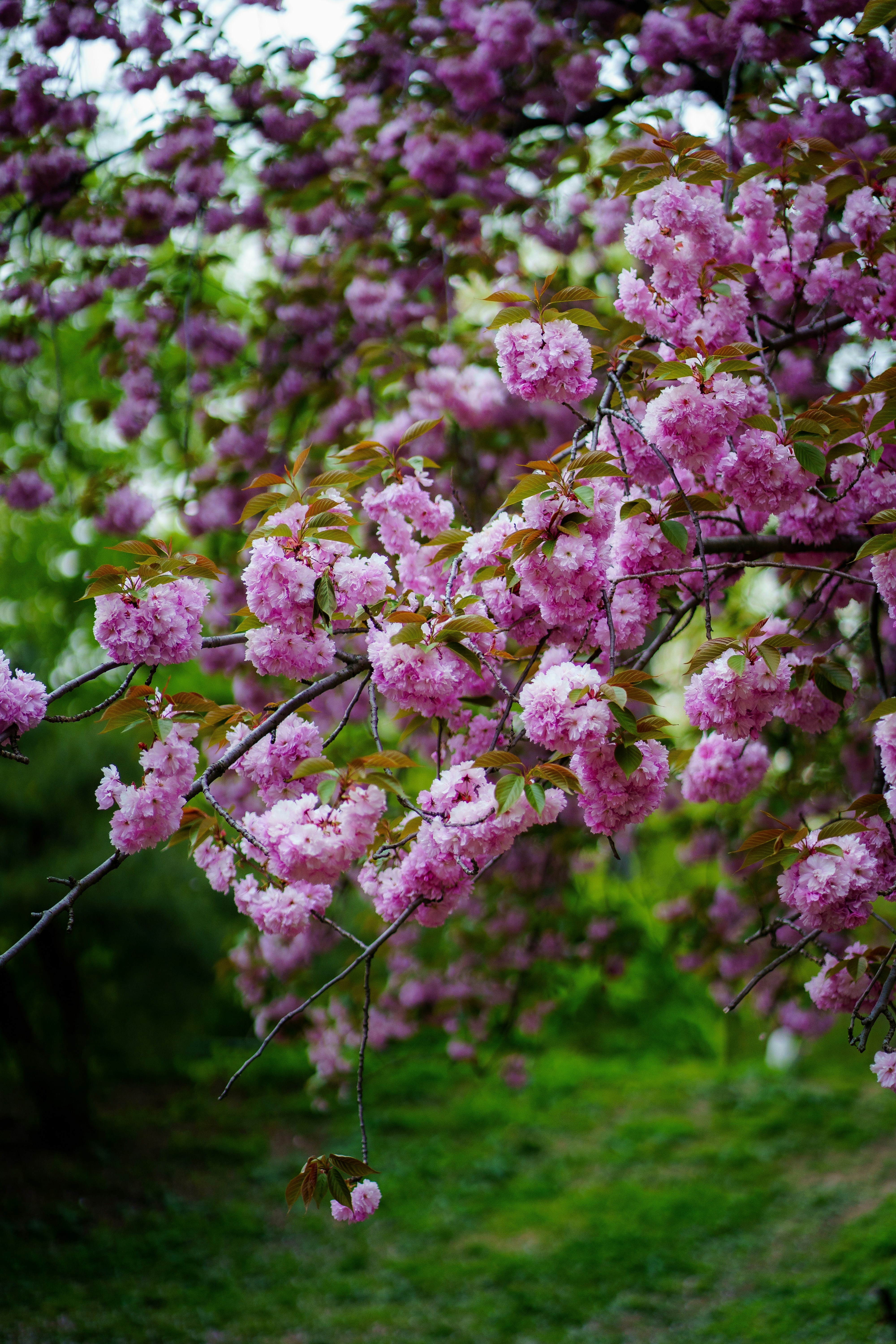 Photo by abhinav1bhardwaj