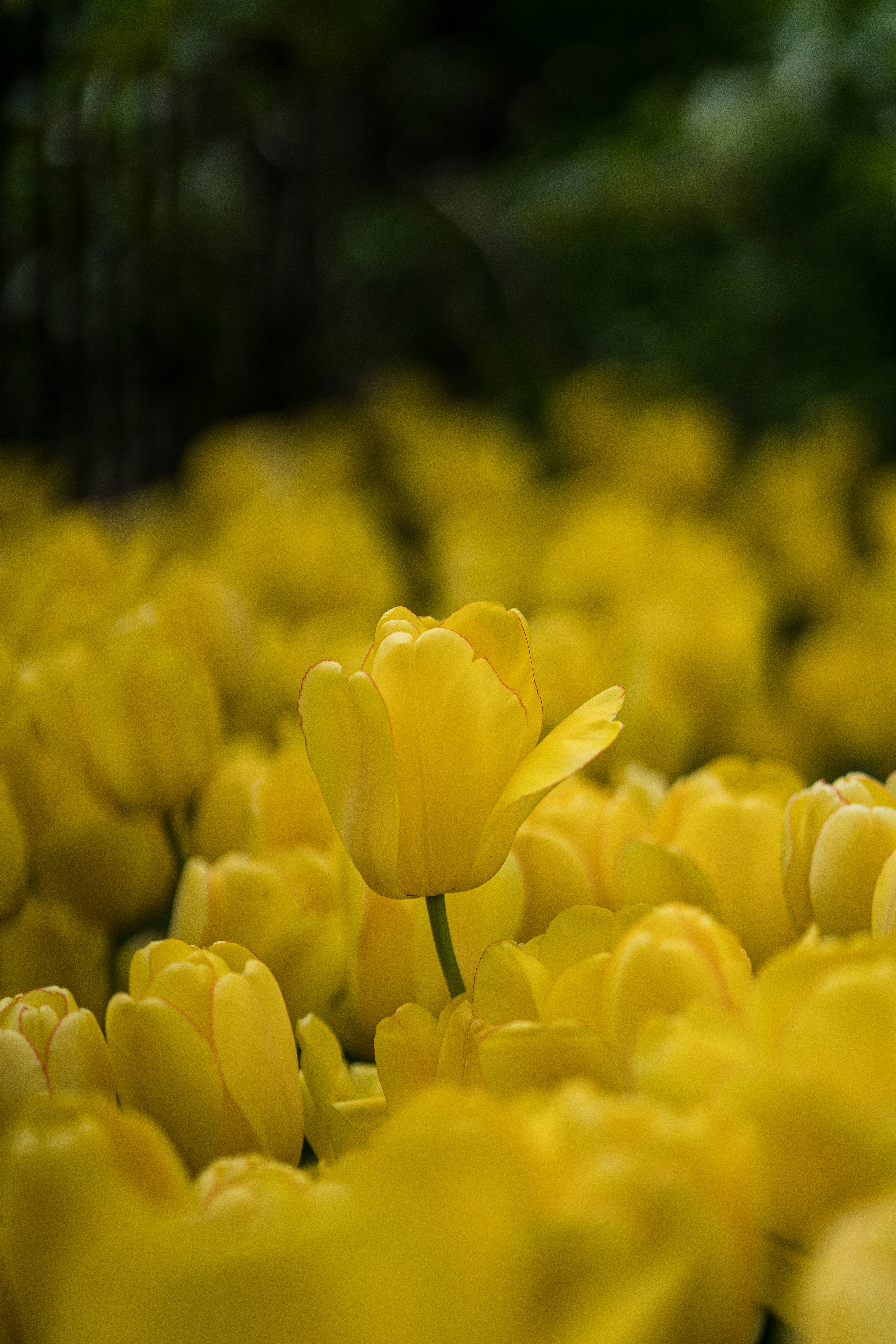 Photo by abhinav1bhardwaj