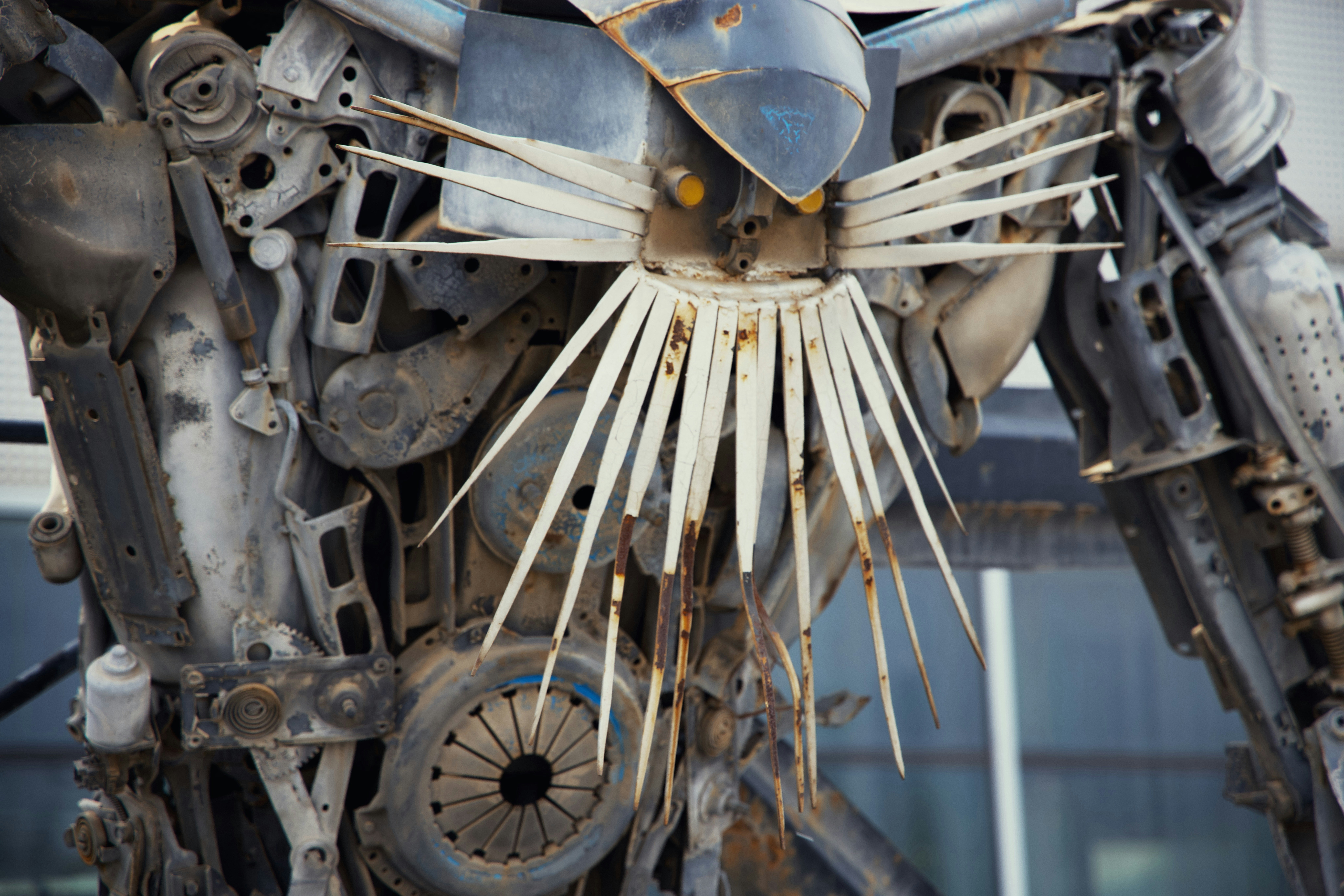 Transformer in China: April 23, 2022 Metal Beard