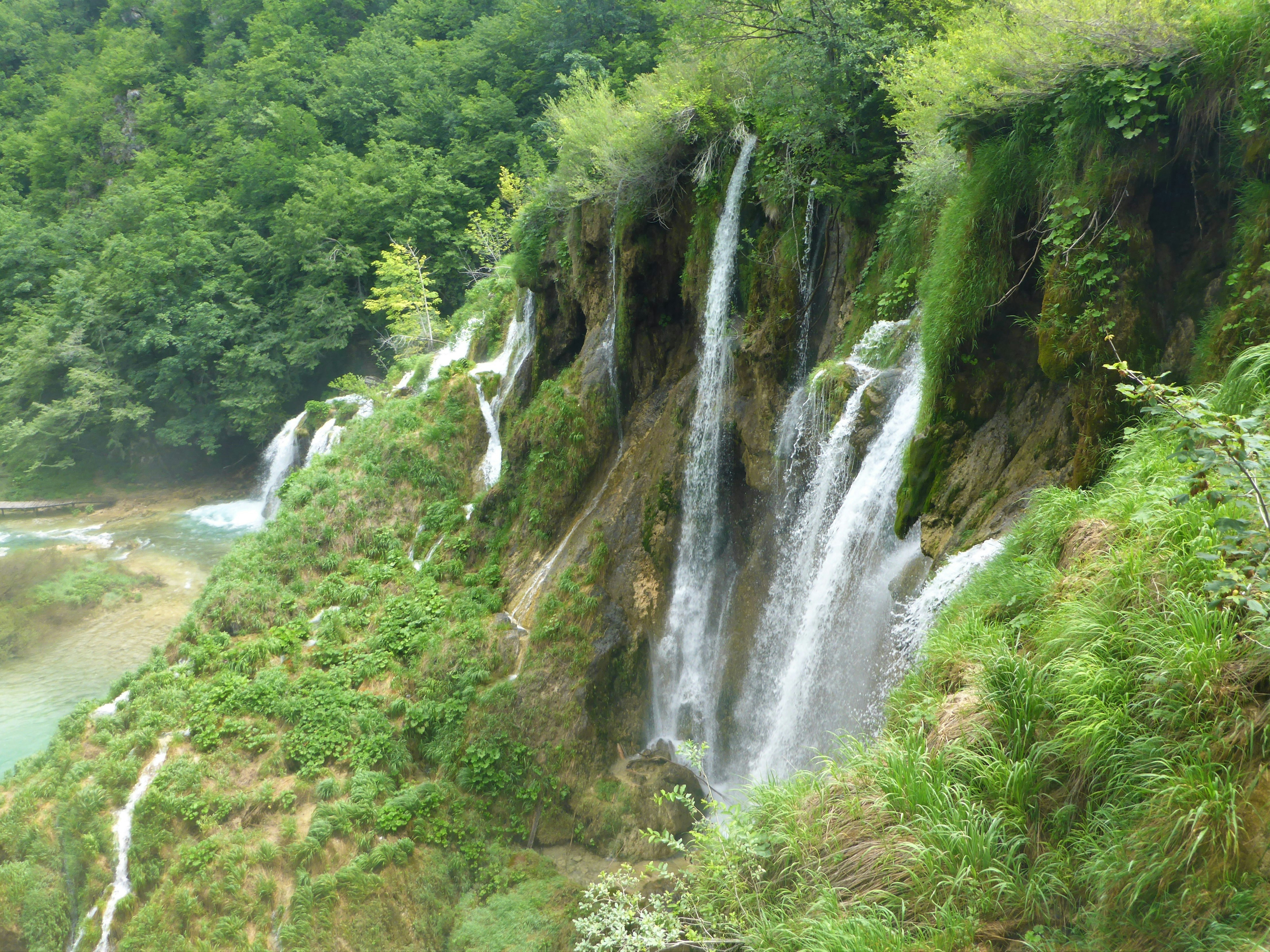 a waterfall in a forest
