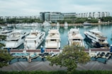 A luxury yacht moored at a serene marina with lush green trees in the background.