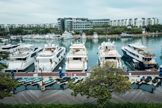 Several luxury yachts are docked in a marina, with a large number of smaller boats neatly arranged in front. Modern buildings and lush green trees line the background, and the water is calm, reflecting the sky and structures.