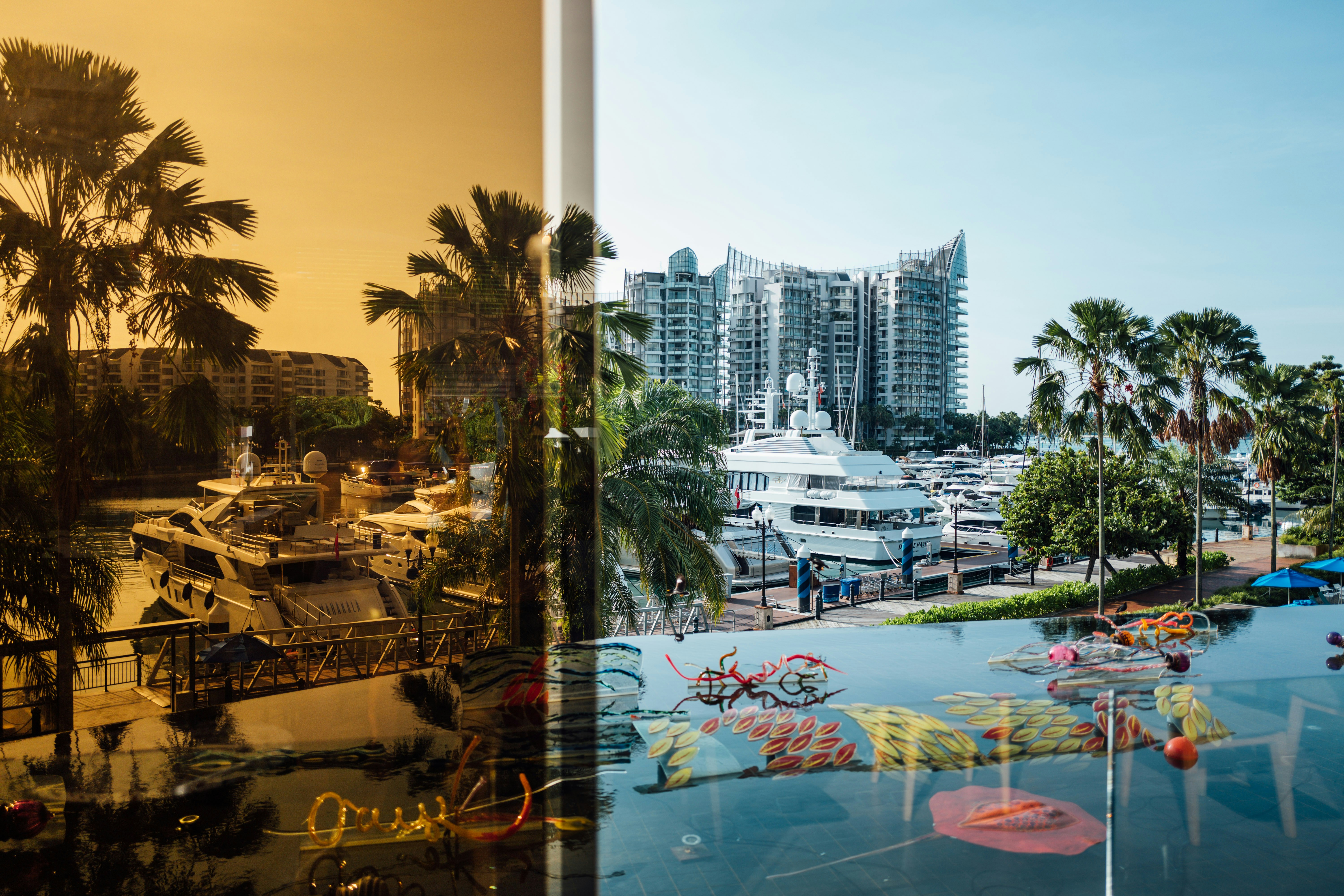 Photo by chuttersnap