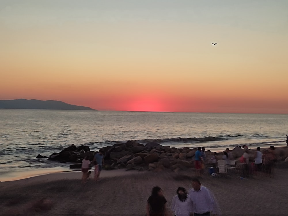 people on a beach