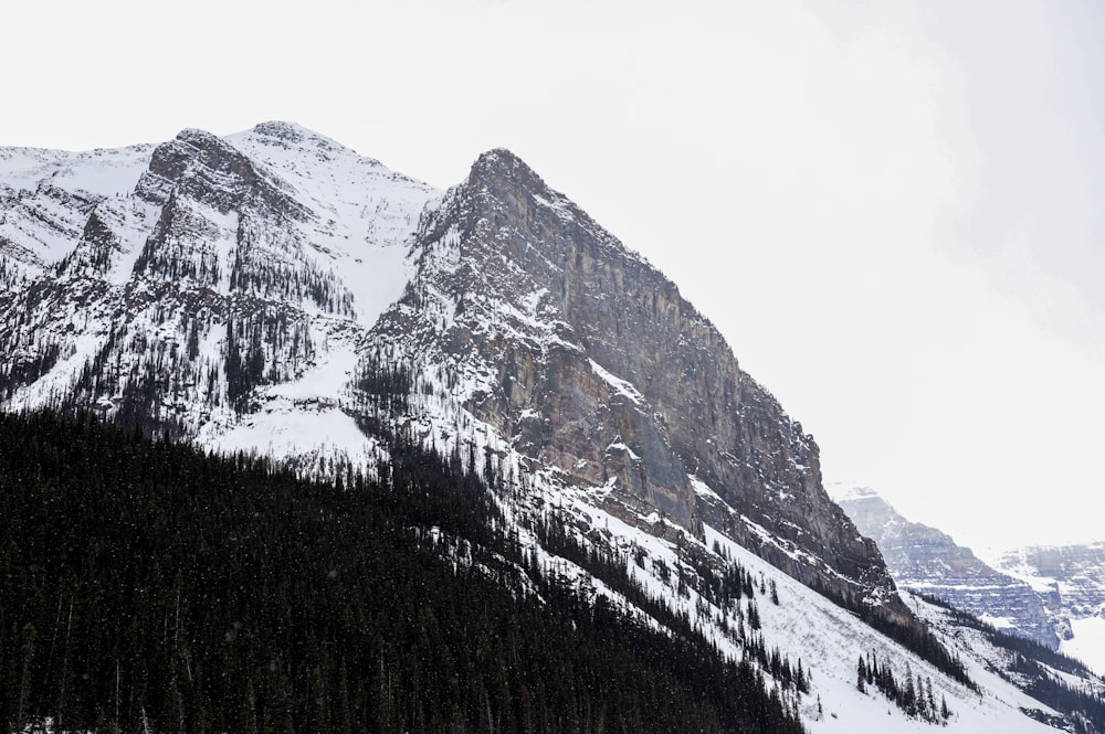 a snowy mountain with trees