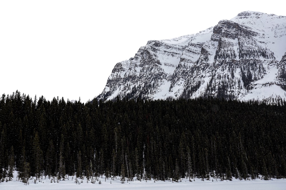 a snowy mountain with trees