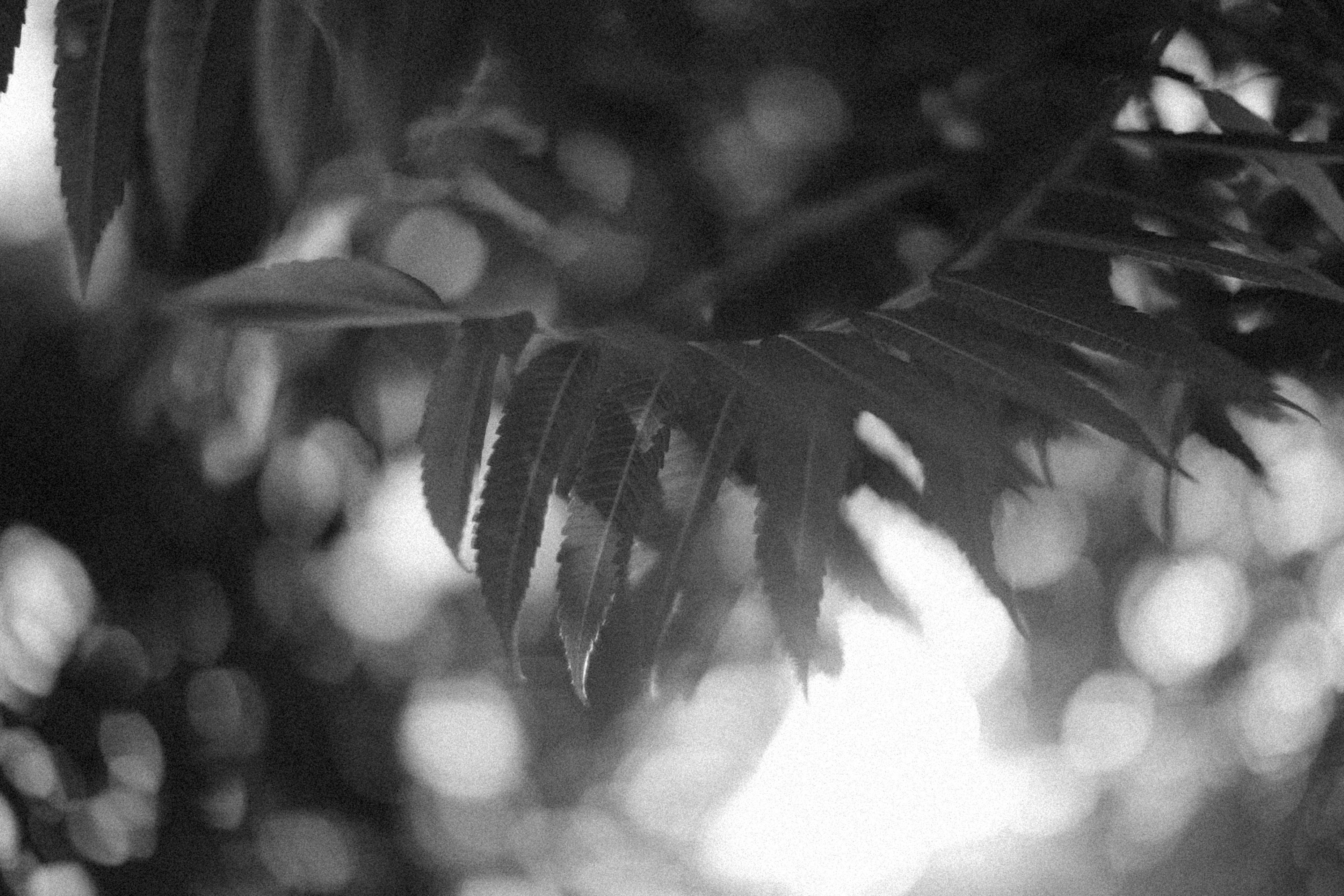 Photo by alexeydemidov