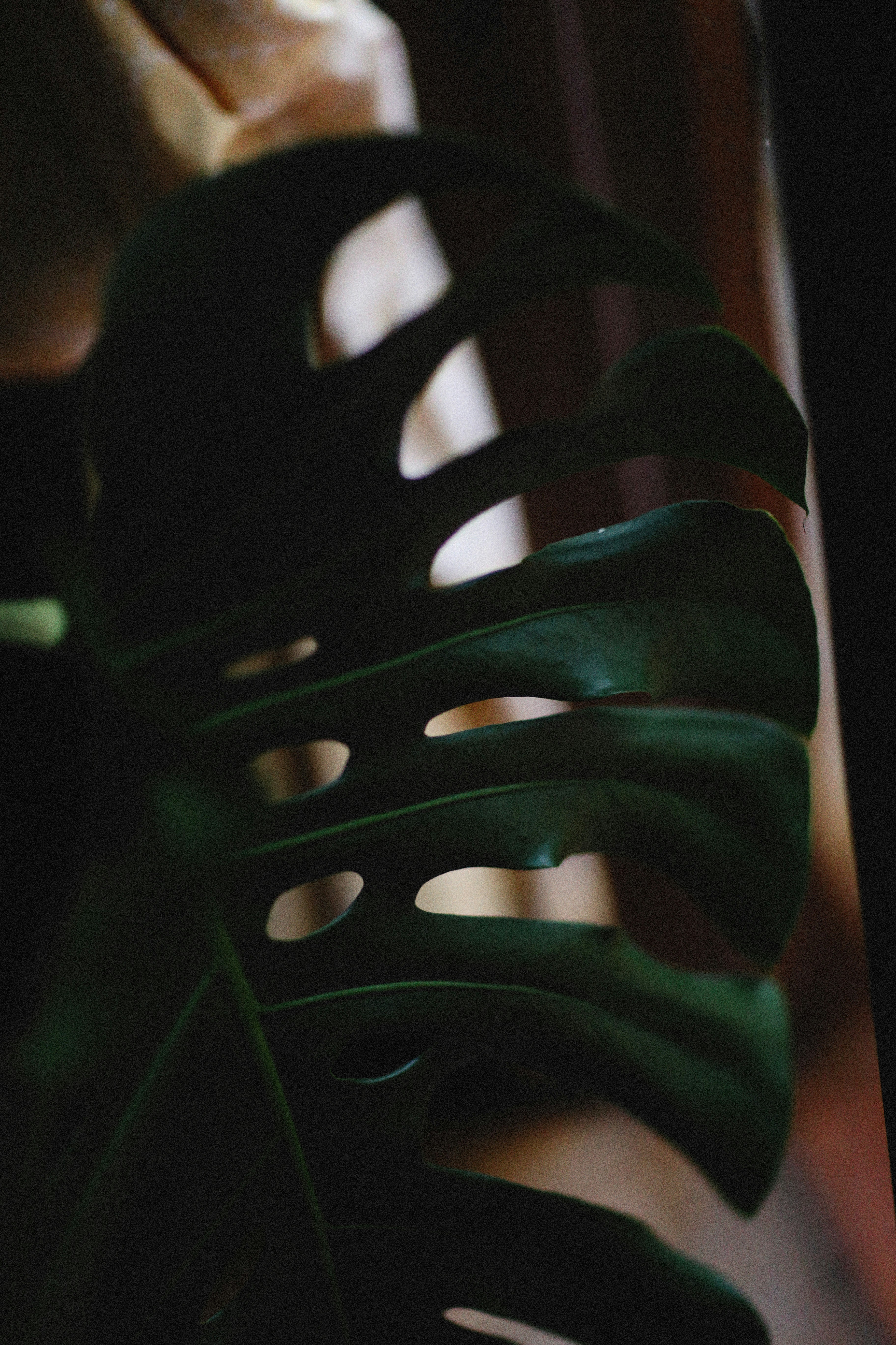 Photo by alexeydemidov