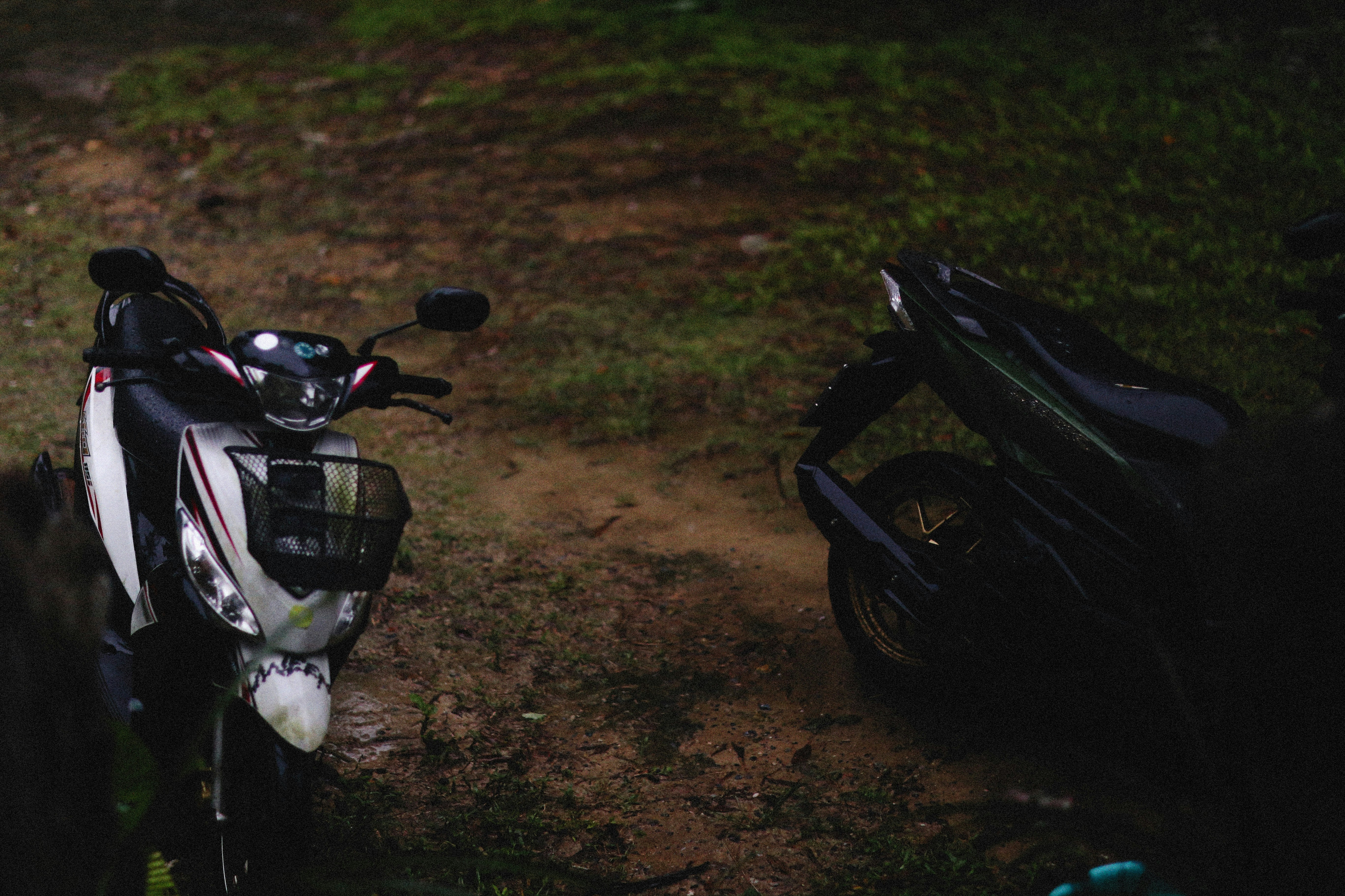 Photo by alexeydemidov