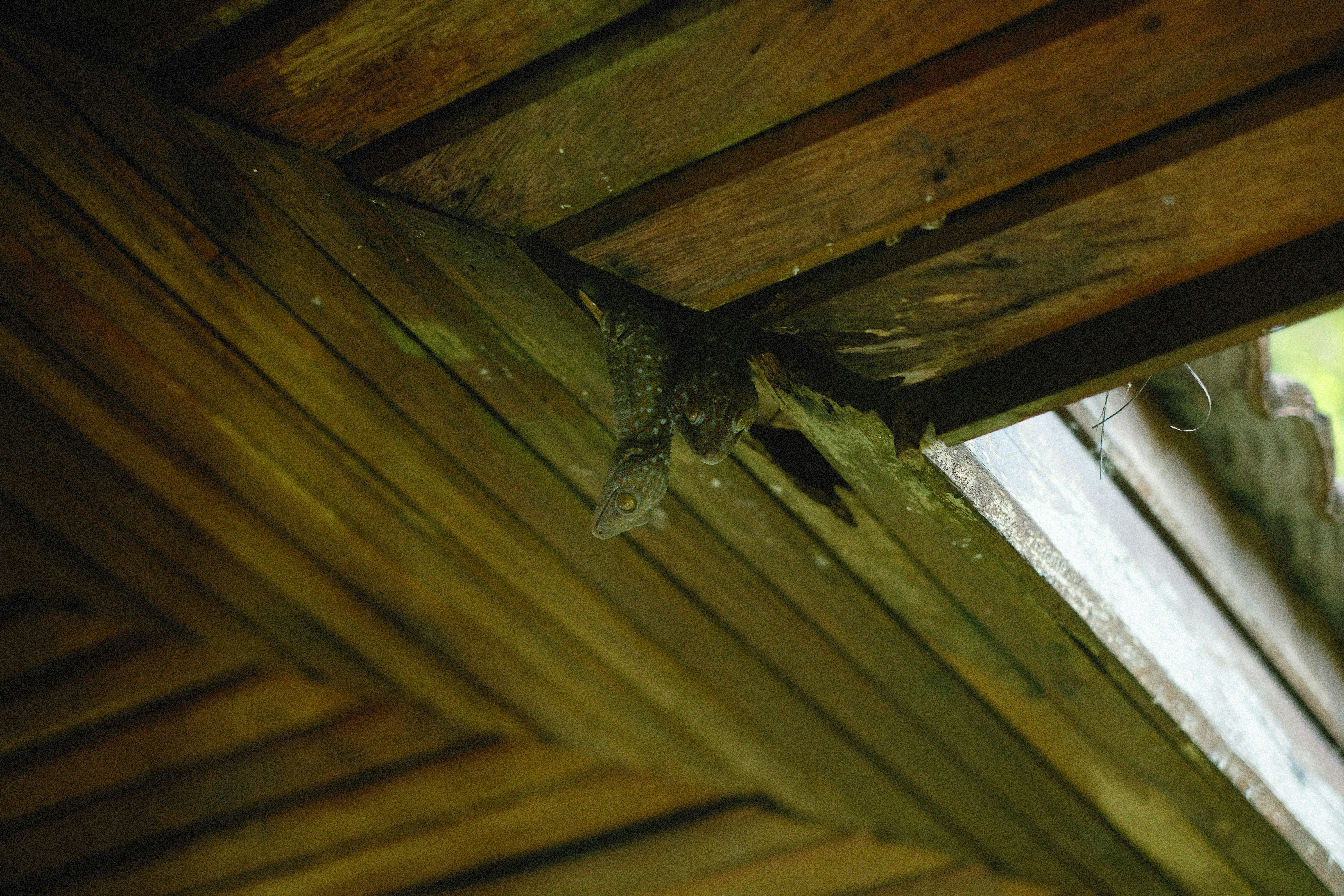 Photo by alexeydemidov