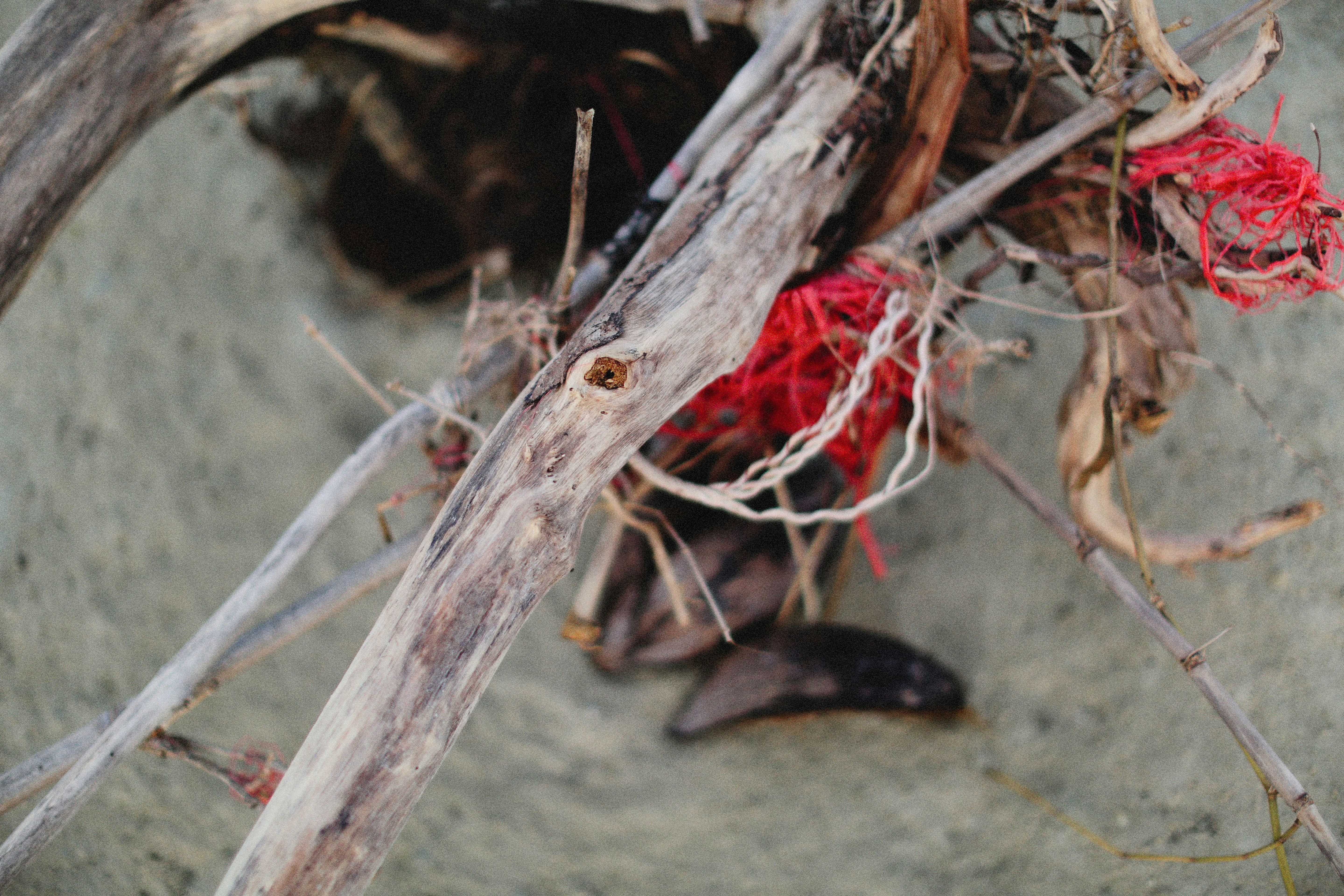 Handcrafted Celtic Driftwood