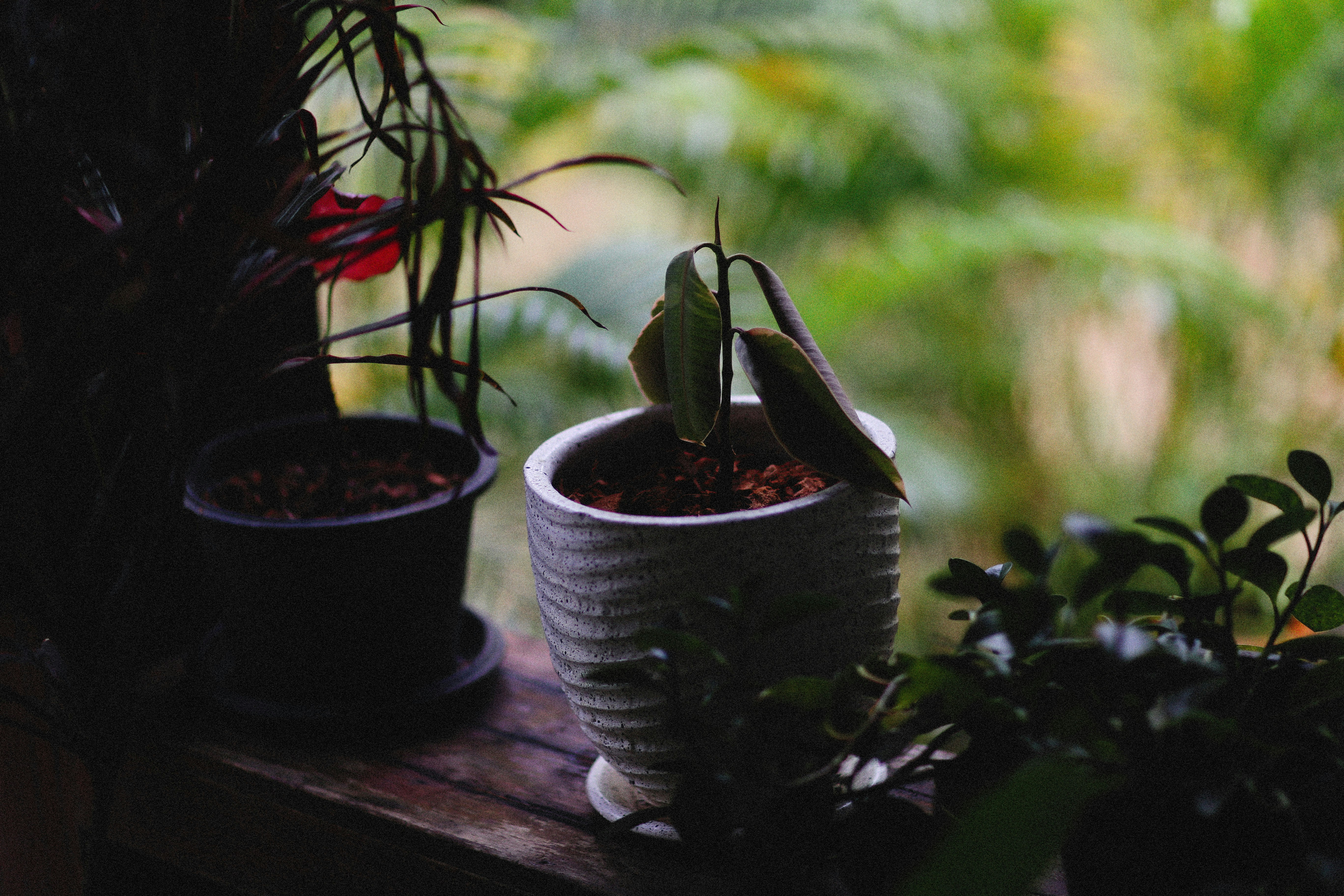 Photo by alexeydemidov