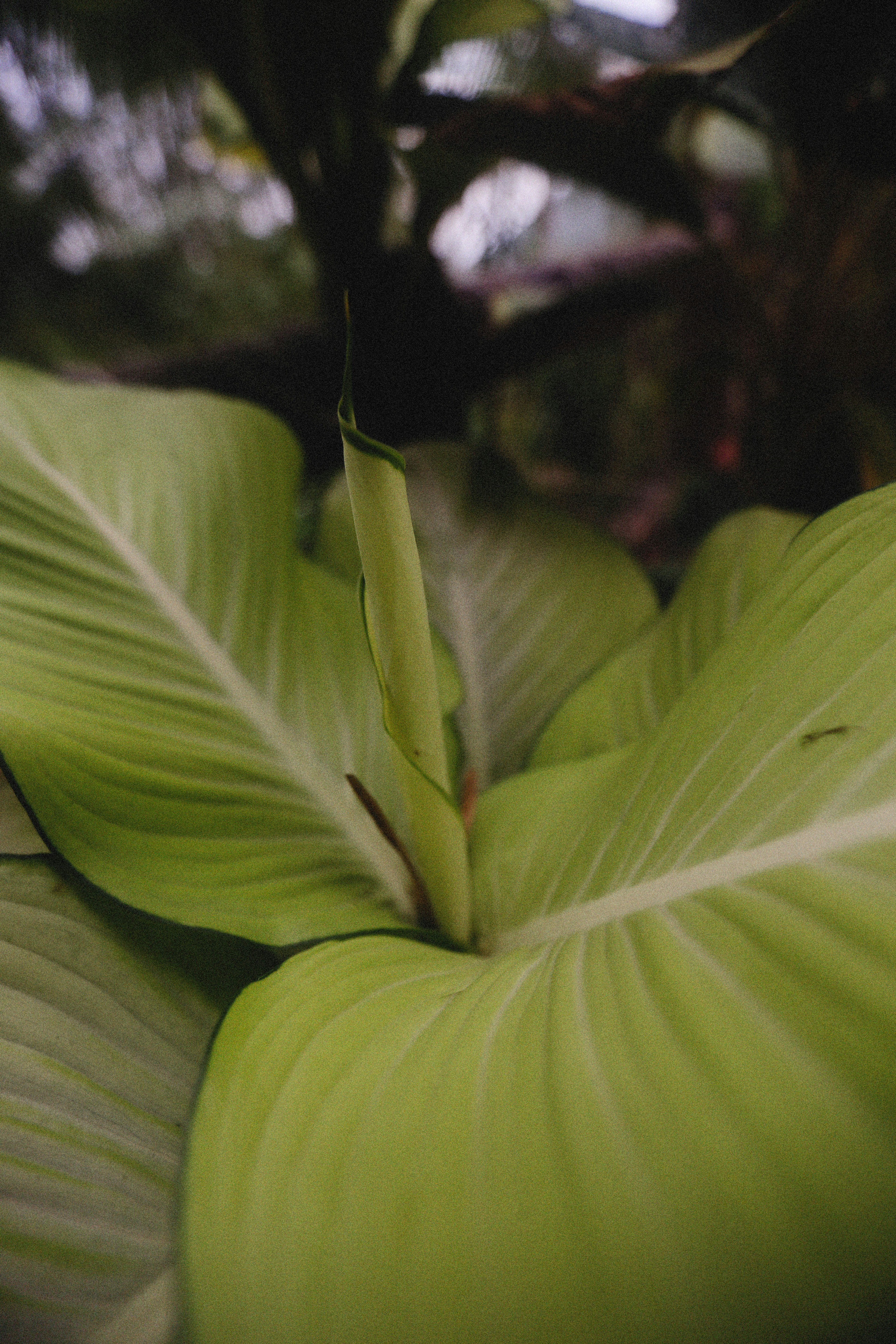 Photo by alexeydemidov