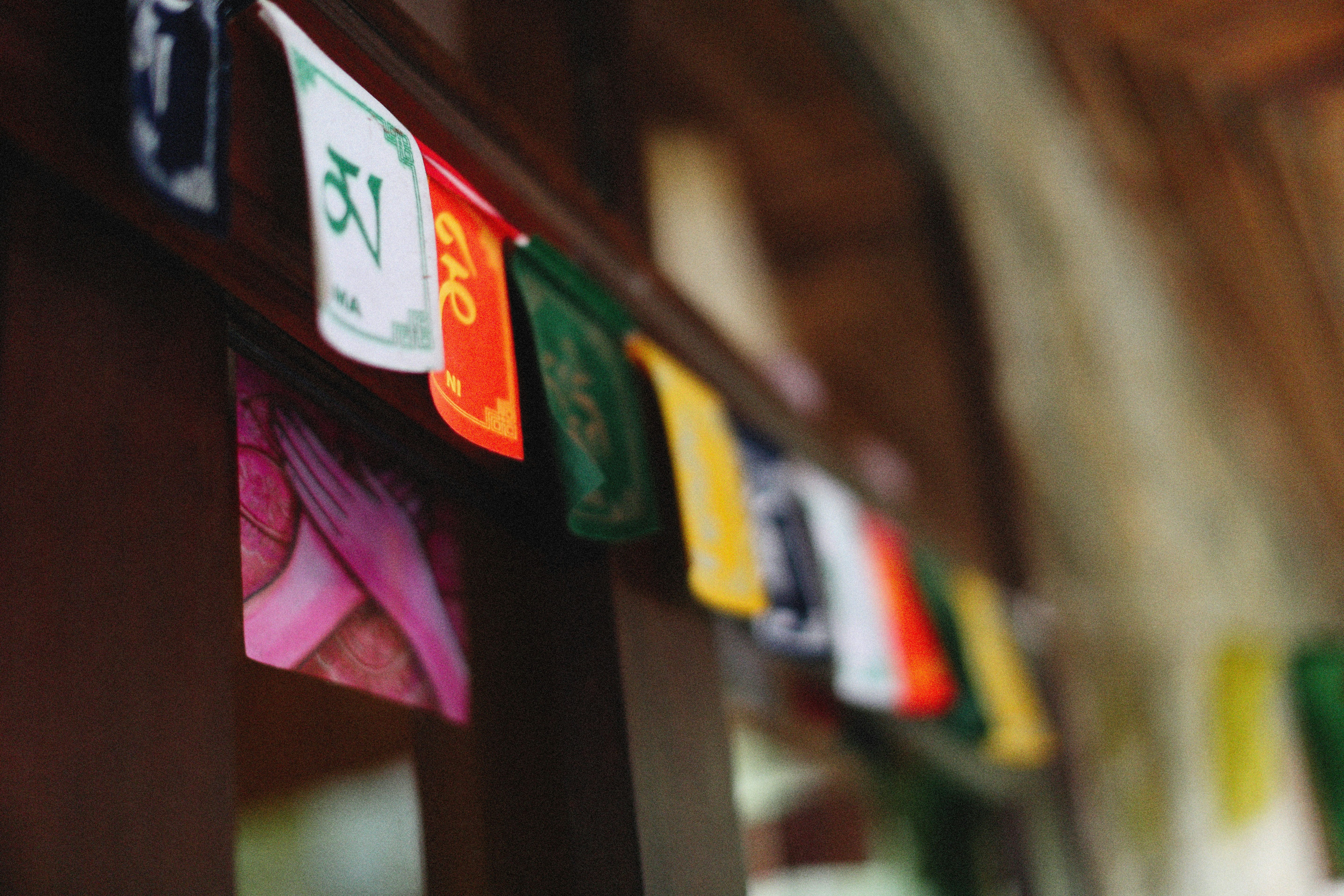 Photo by alexeydemidov