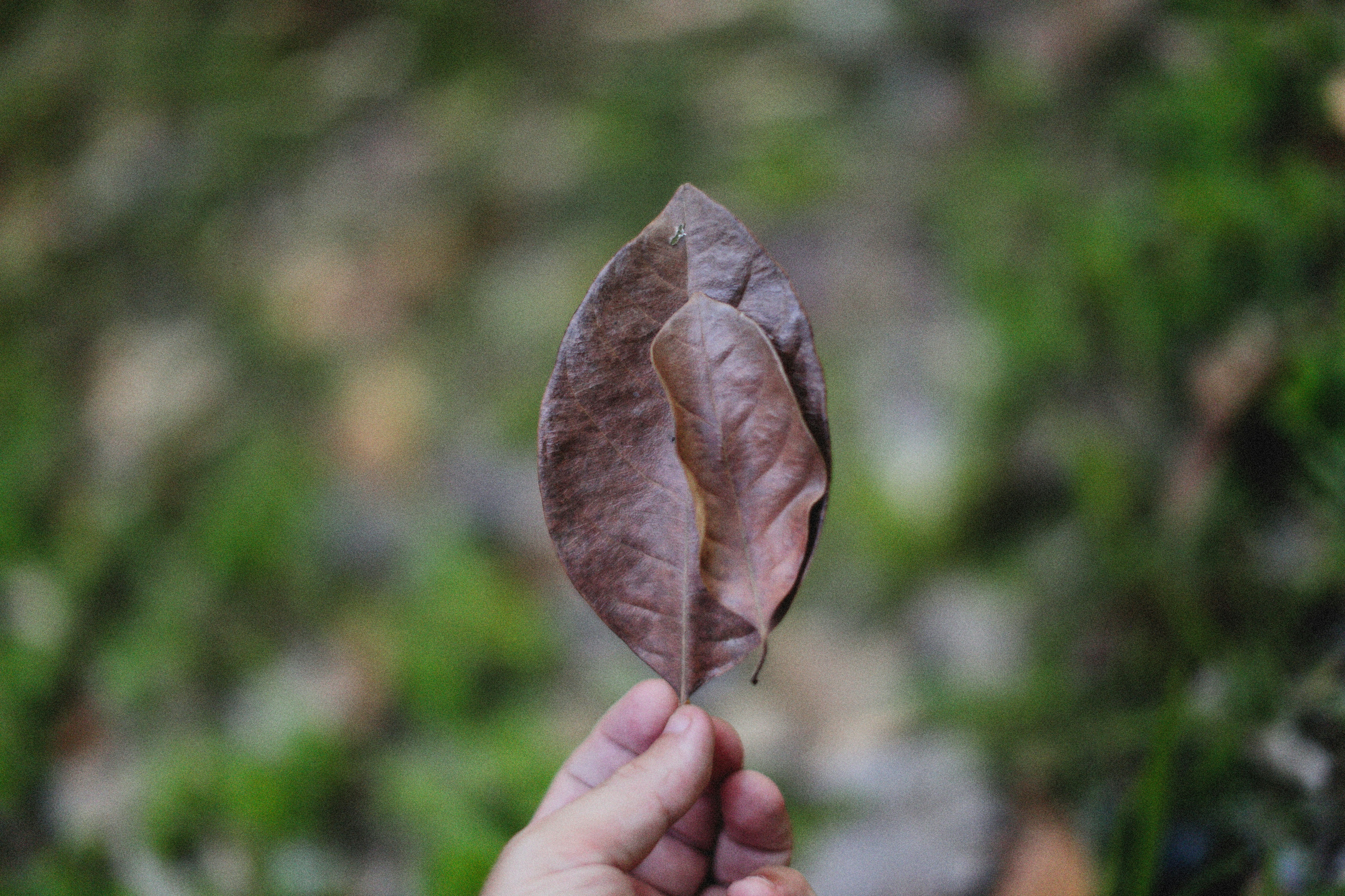 Photo by alexeydemidov