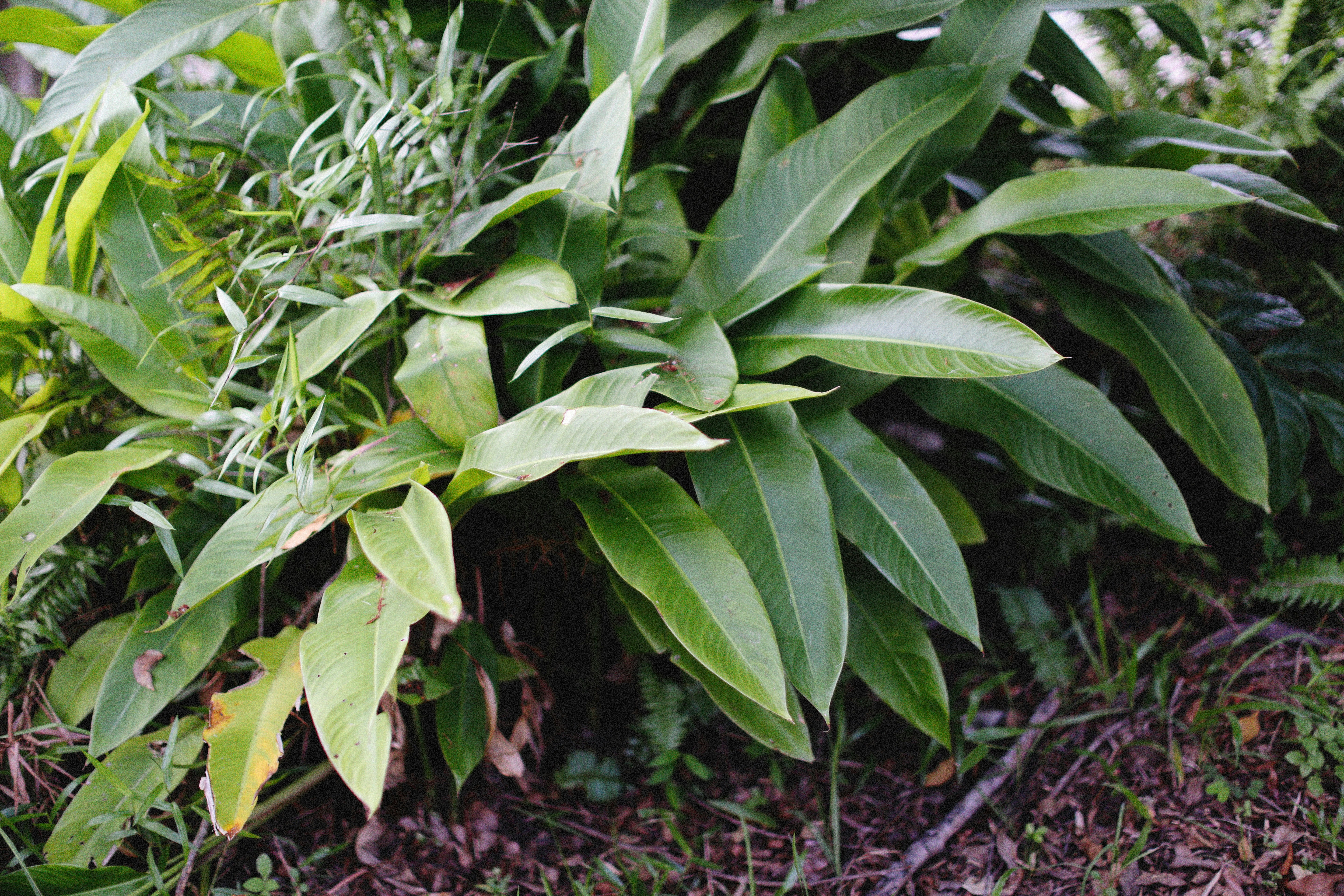 Photo by alexeydemidov