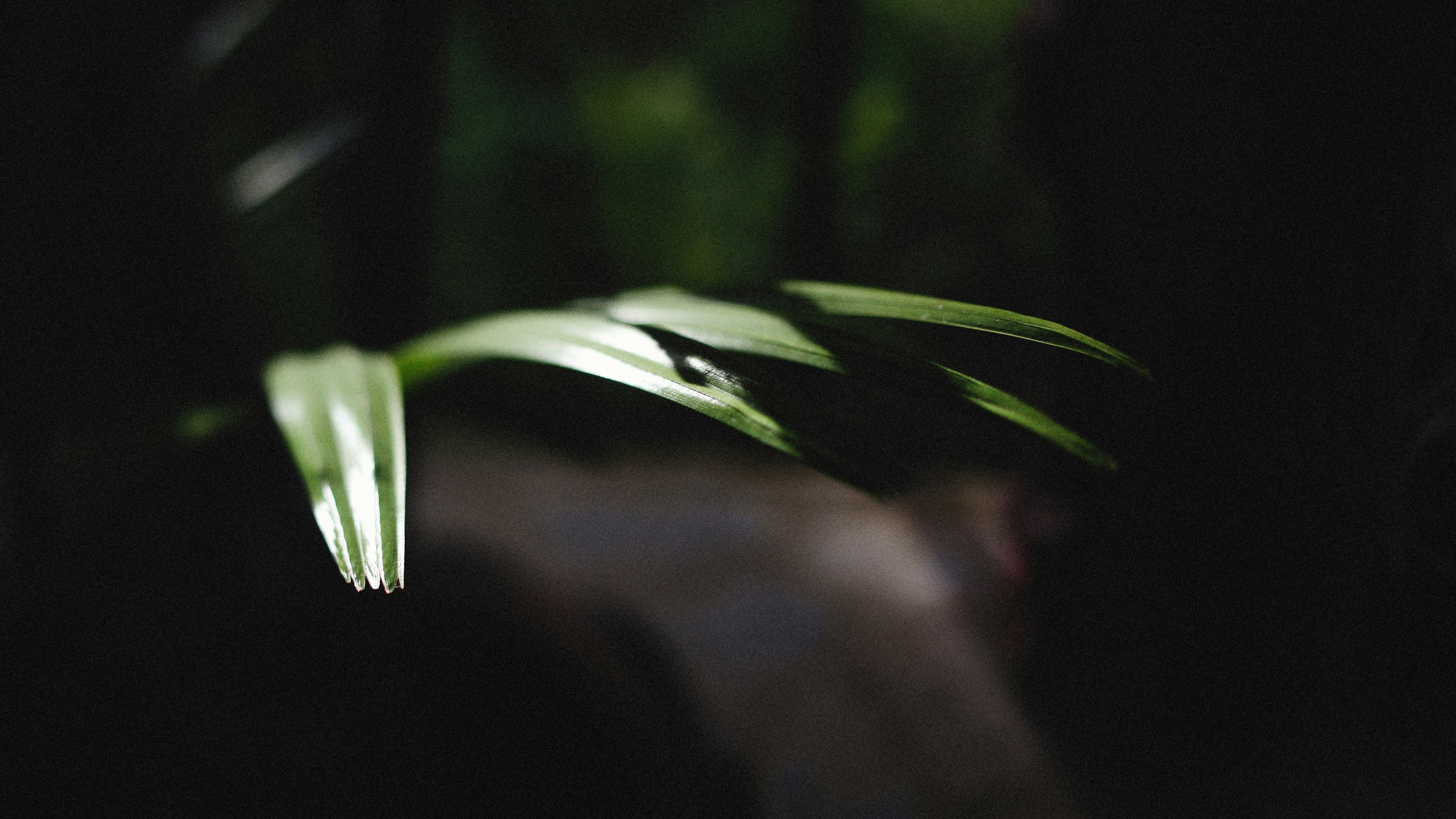 Photo by alexeydemidov