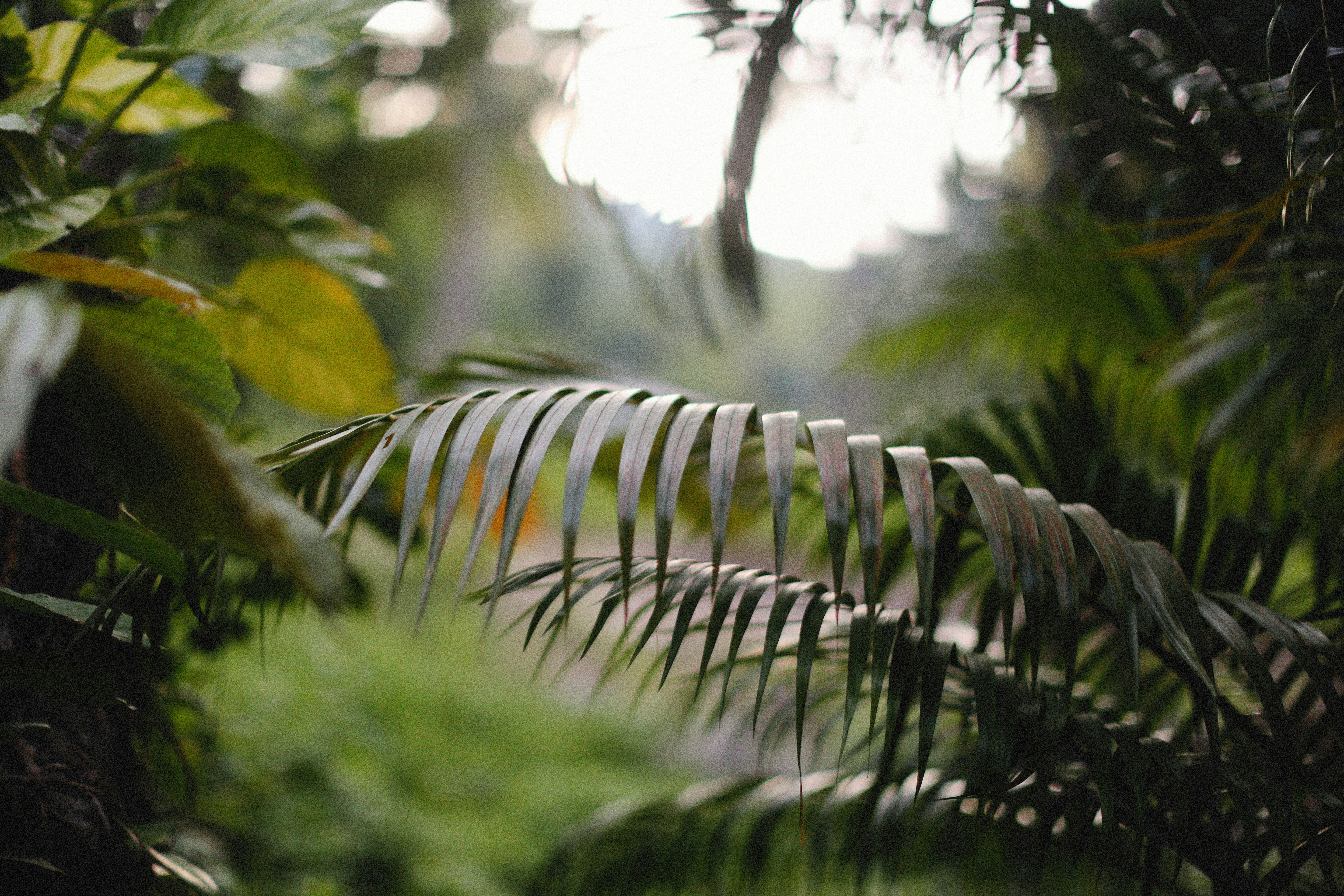 Photo by alexeydemidov