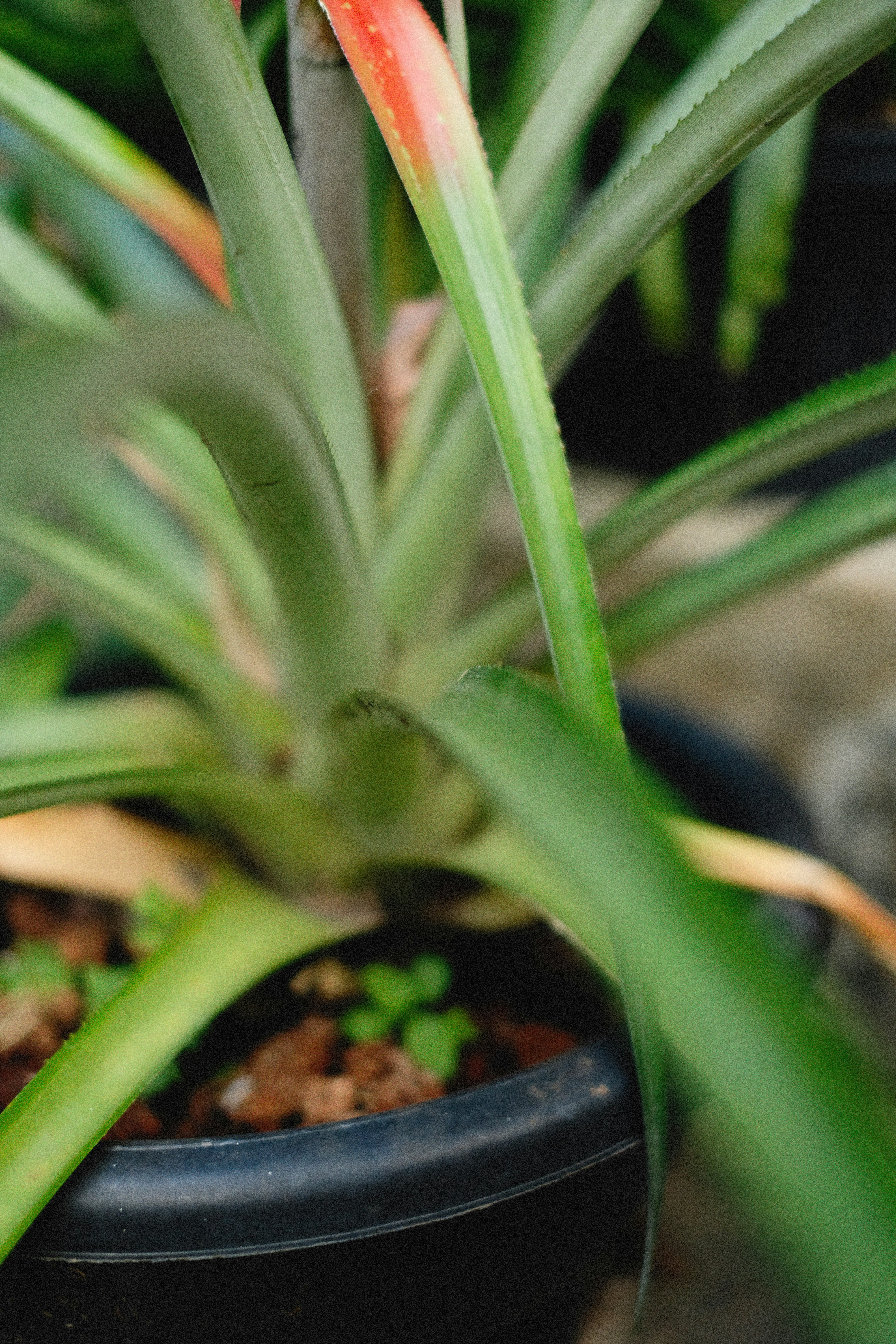 Photo by alexeydemidov