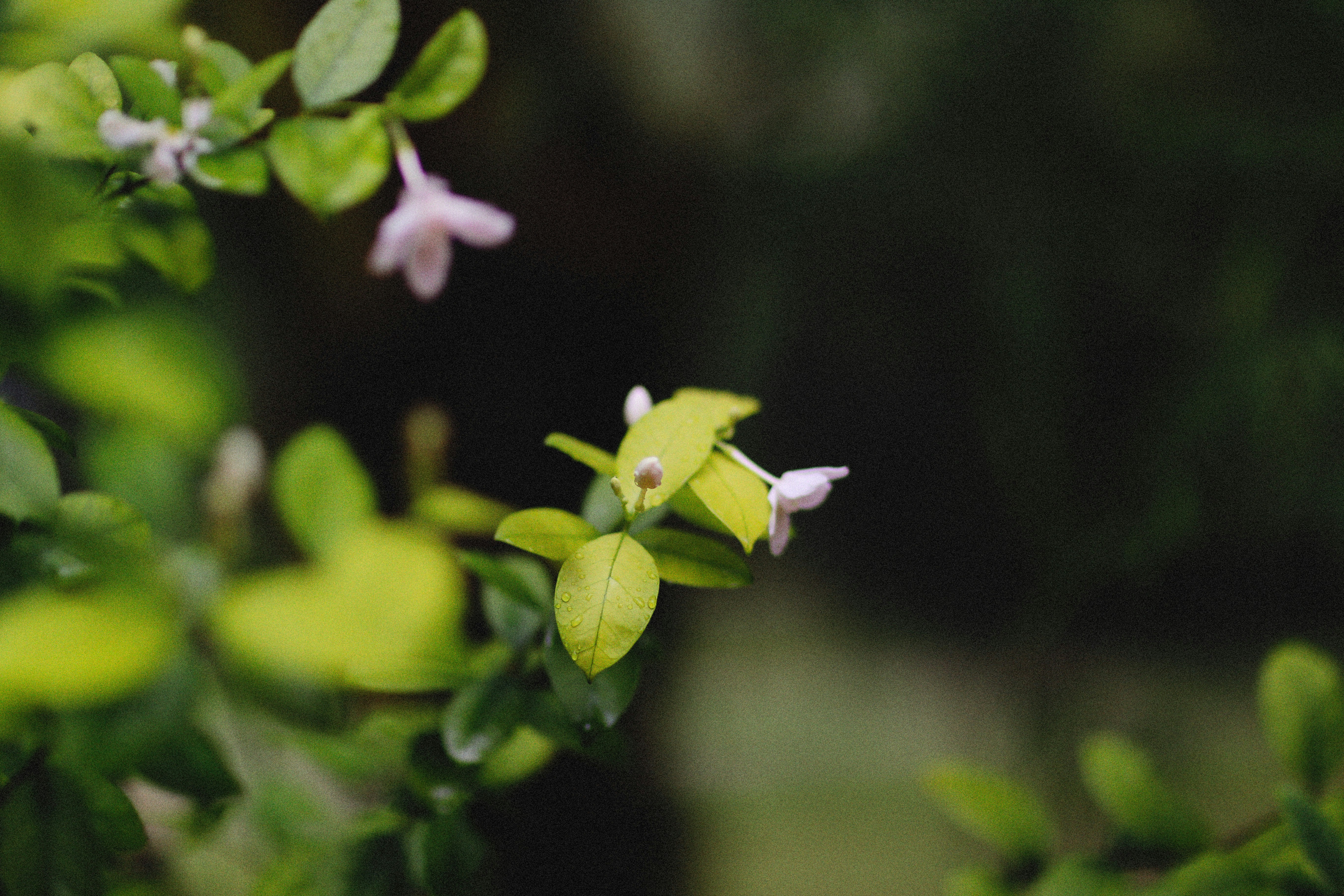 Photo by alexeydemidov