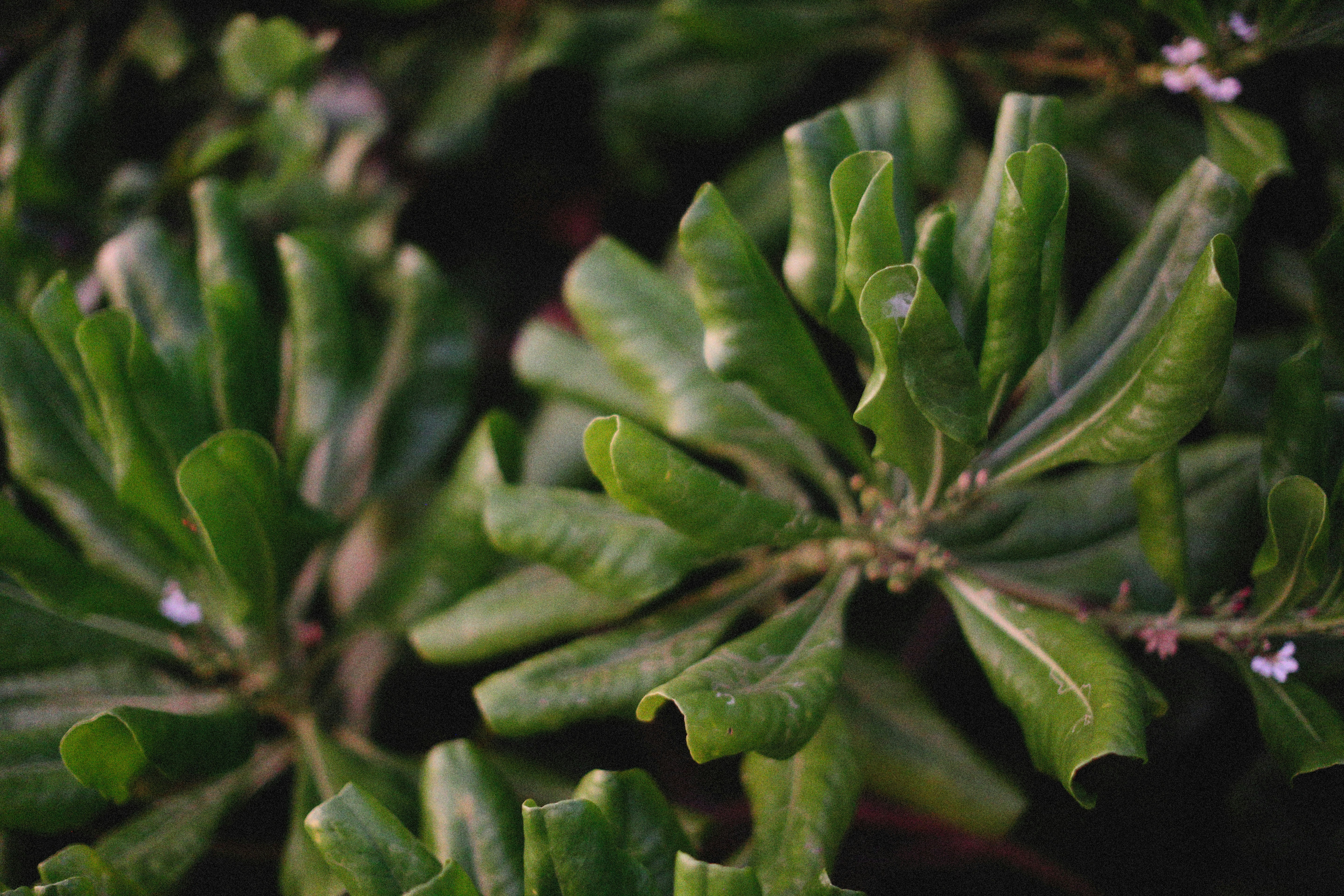 Photo by alexeydemidov