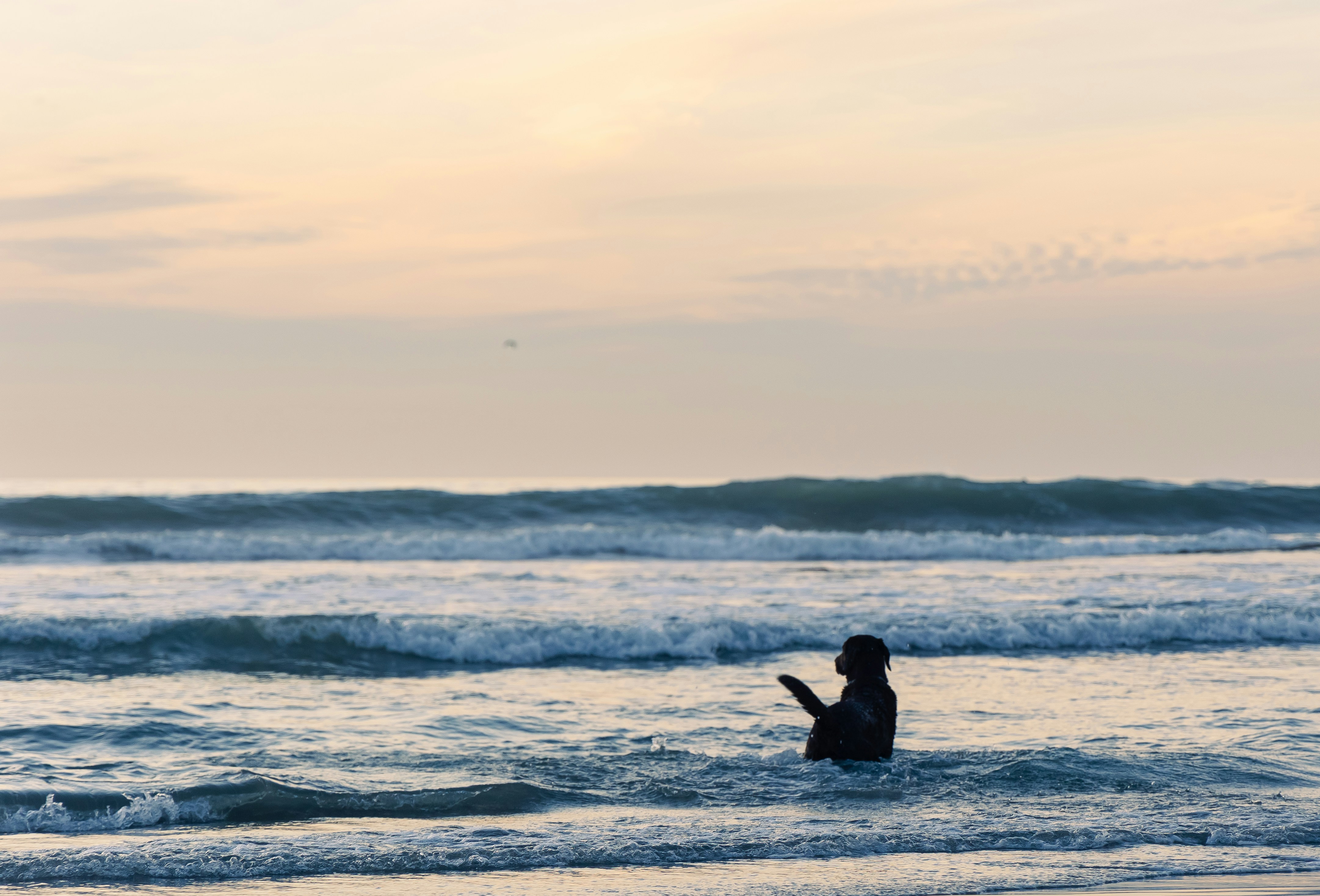 Photo by reednaliboff