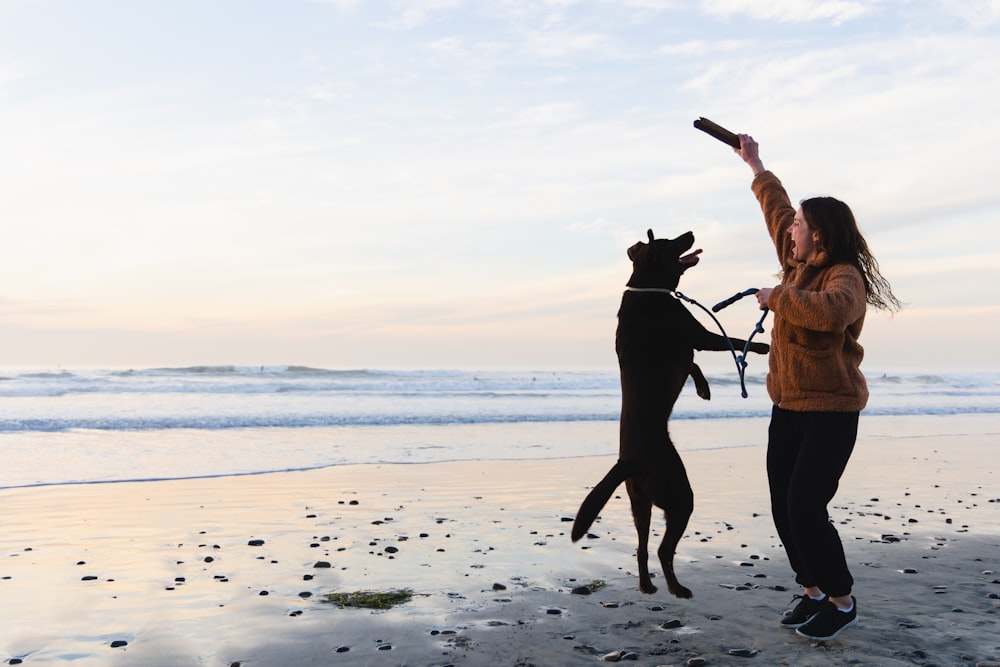 a person and a dog on a beach