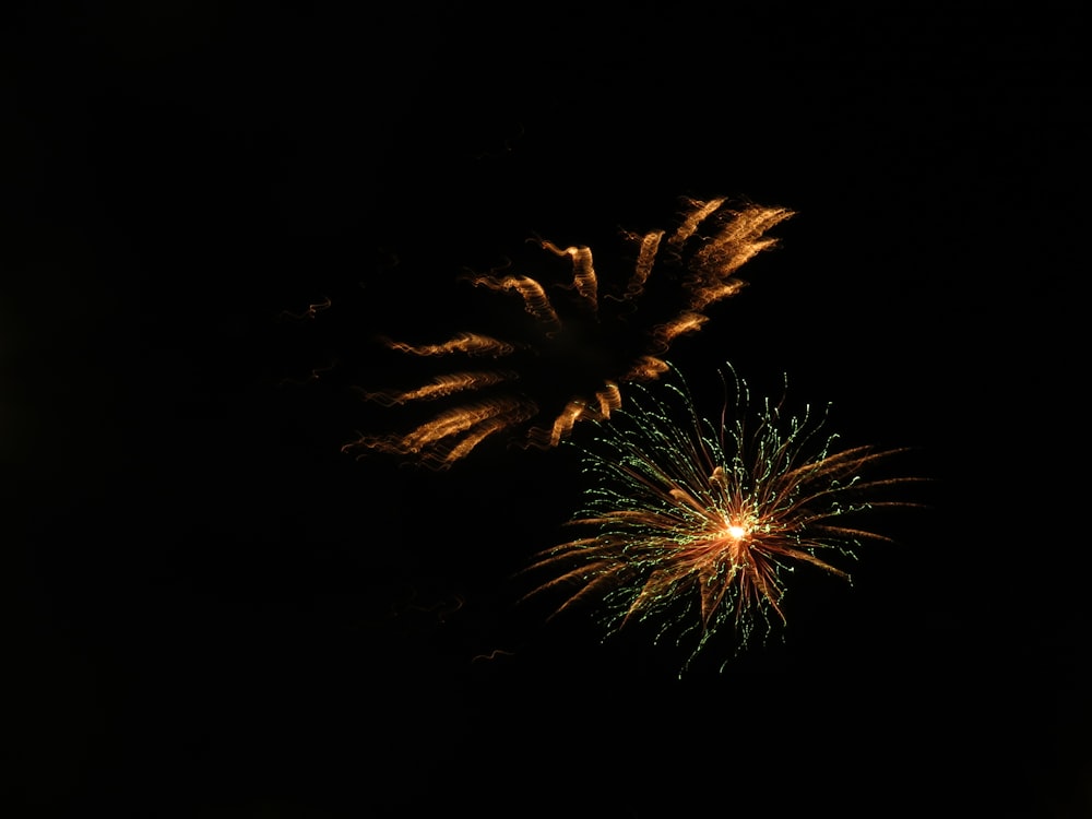 fireworks in the night sky