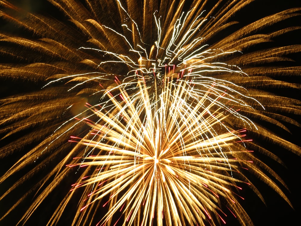 a firework exploding in the sky