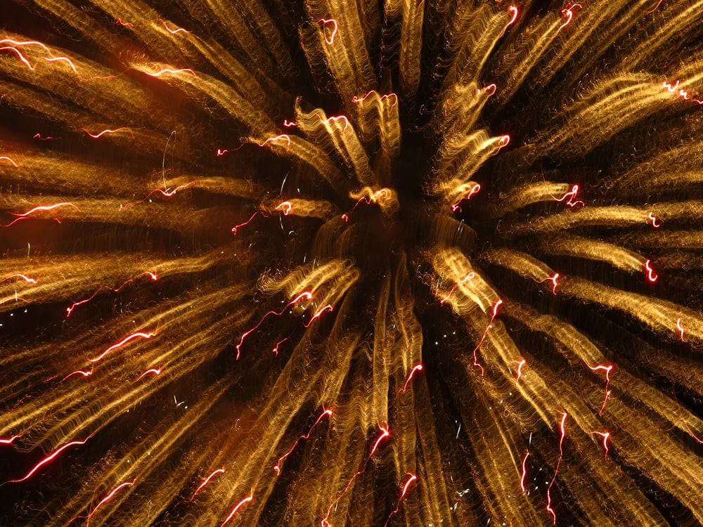 a large group of fireworks in the night sky