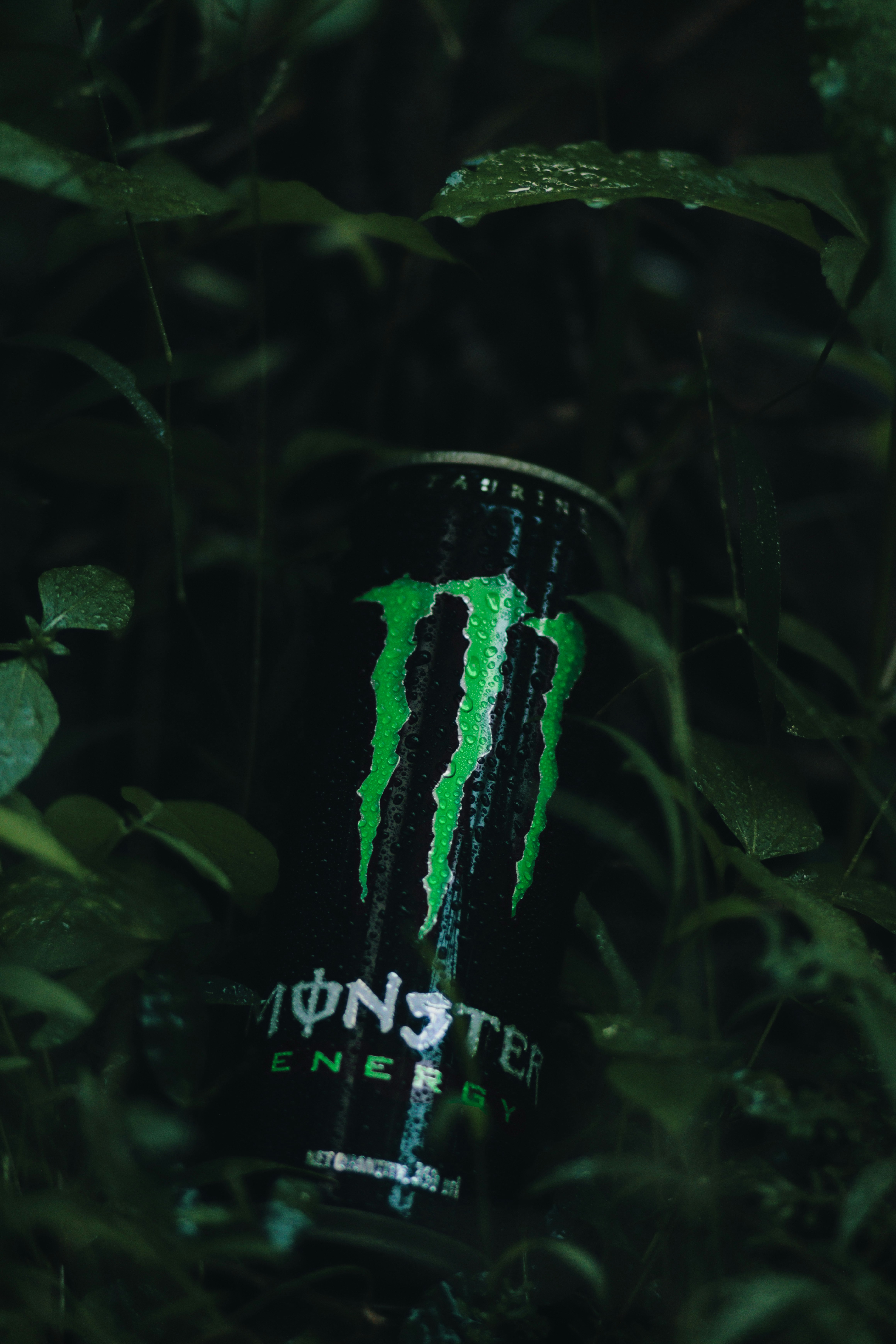 Monster Energy 12 Best Free Monster Energy Drink Can And Tin Photos On Unsplash