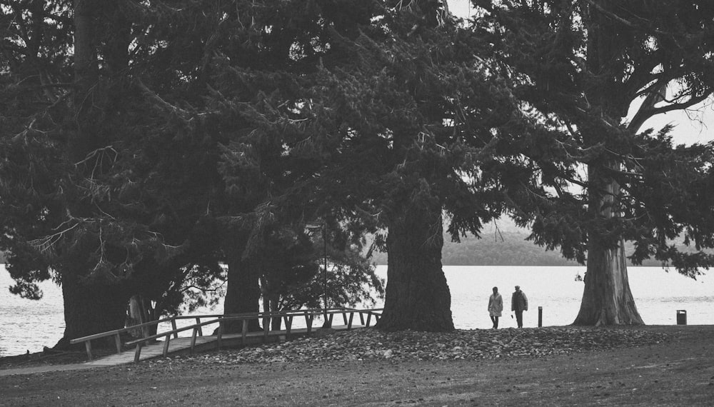 a group of people standing under a tree next to a body of water