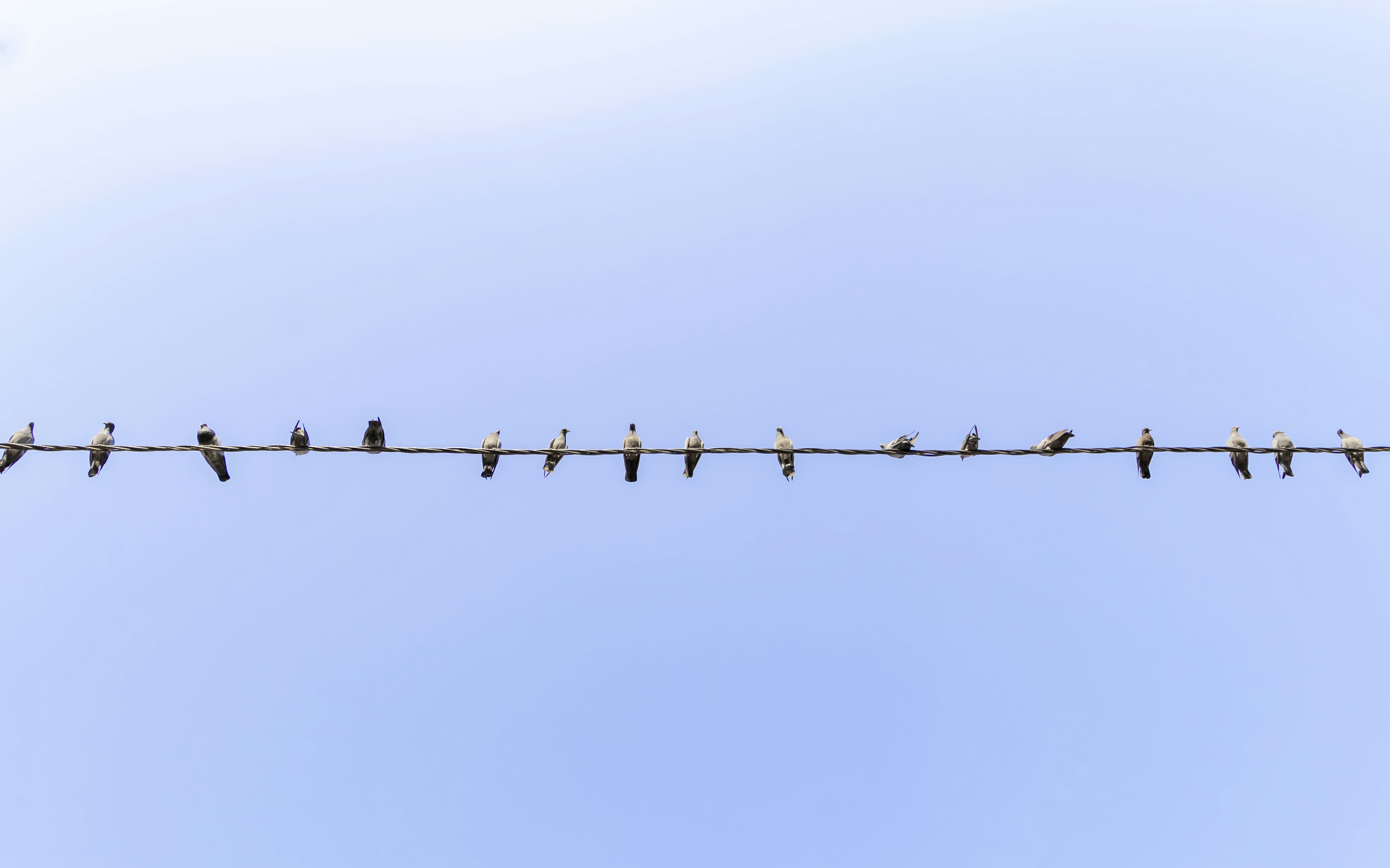 Photo by vdphotography