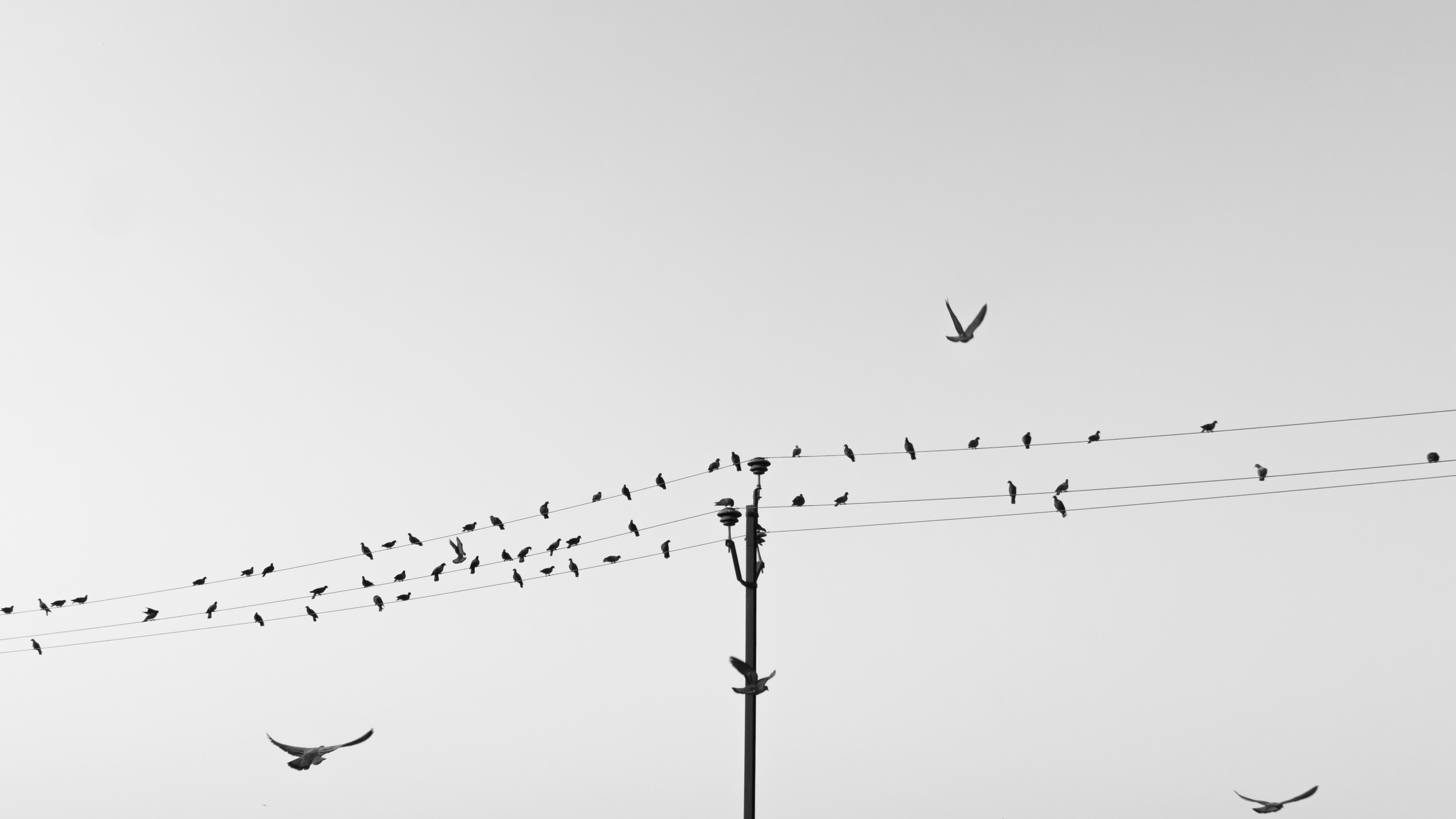 Photo by vdphotography