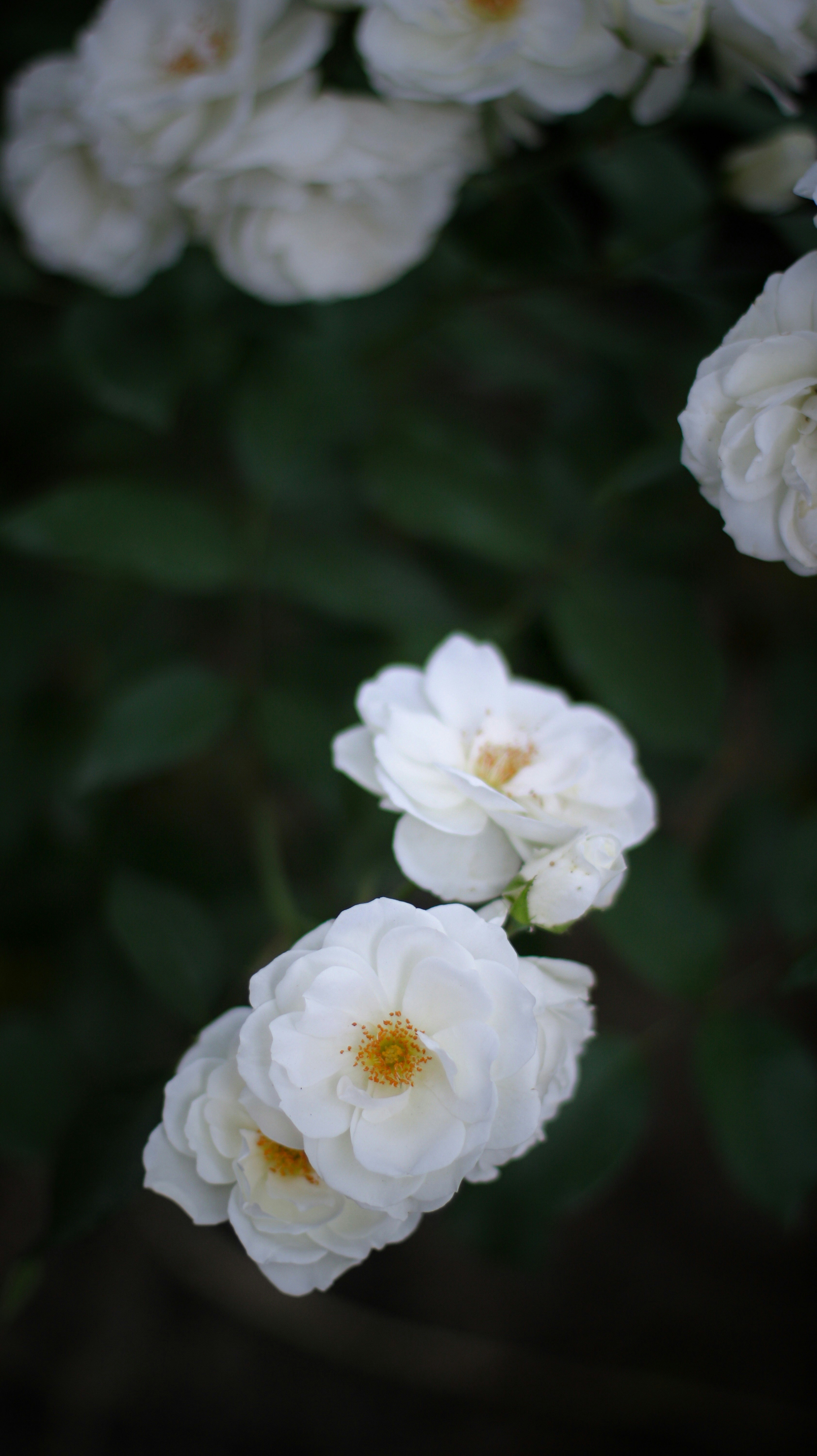 Photo by moein_mz1729