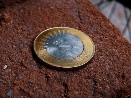 A close-up view of a 10 Rupee coin resting on a textured, reddish-brown surface resembling a brick or stone. The coin features a dual-tone design with a golden outer ring and a silver inner circle, embossed with the Rupee symbol and the number 10.