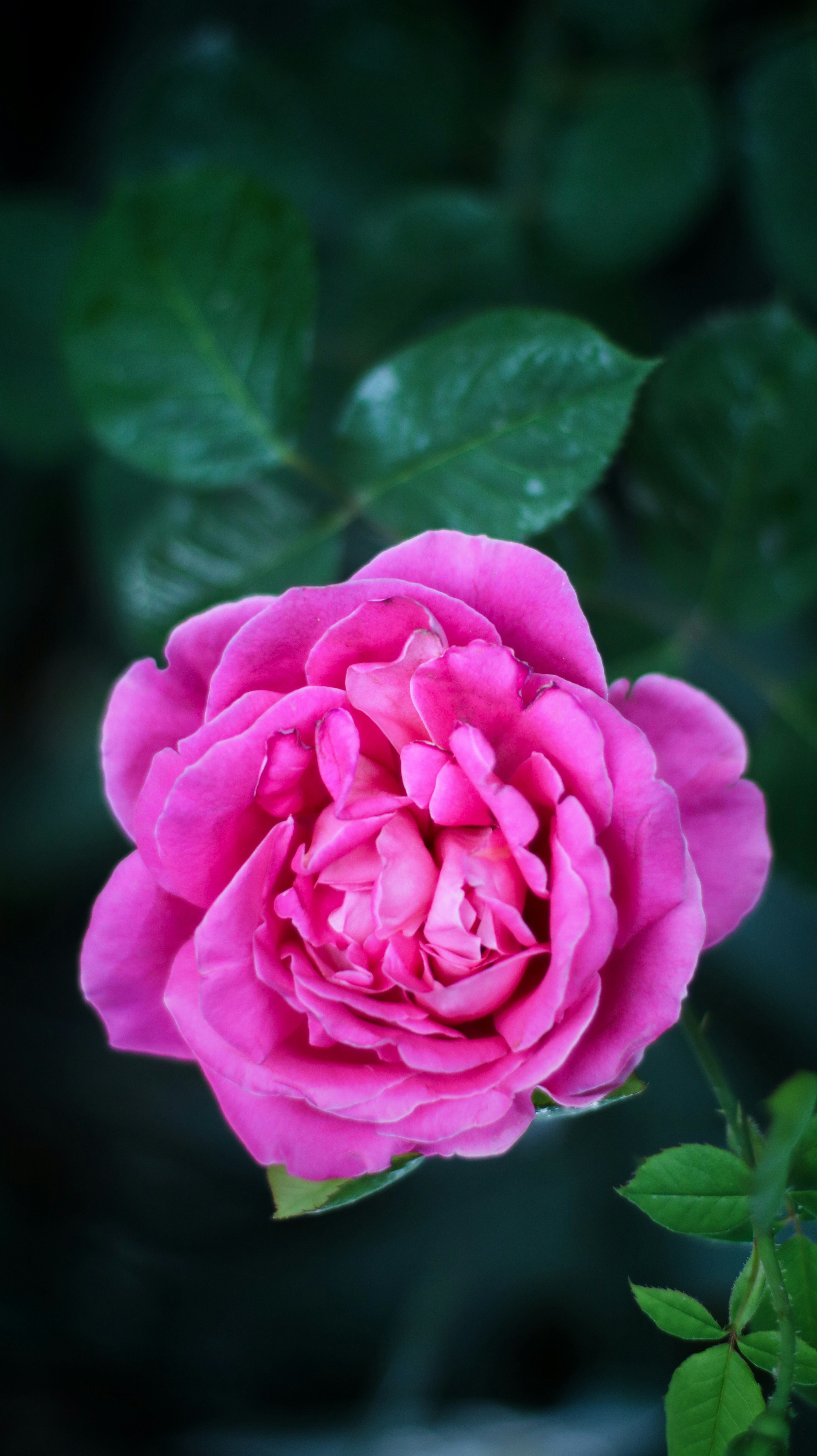 Photo by moein_mz1729