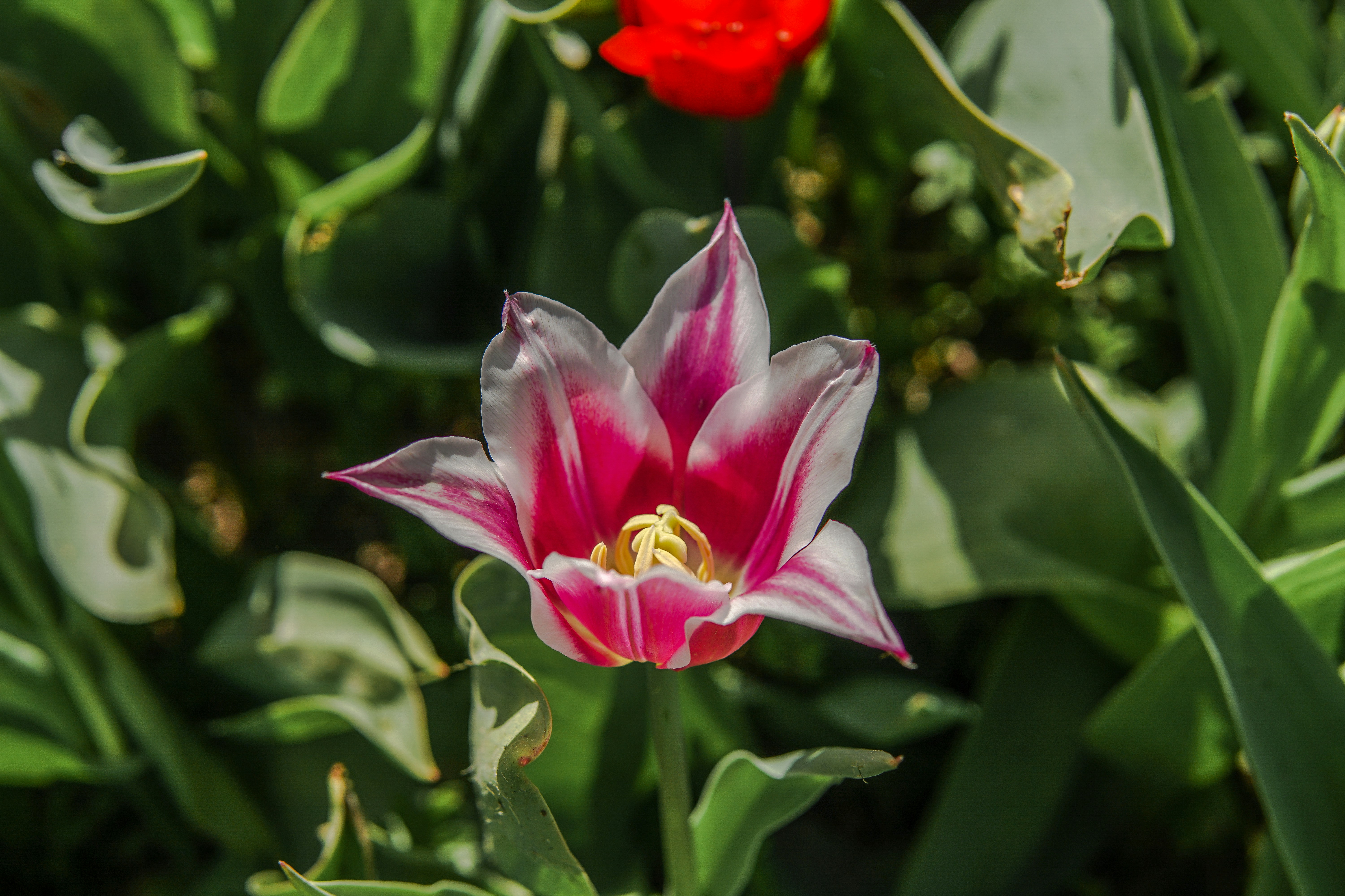 Photo by mertkahveci