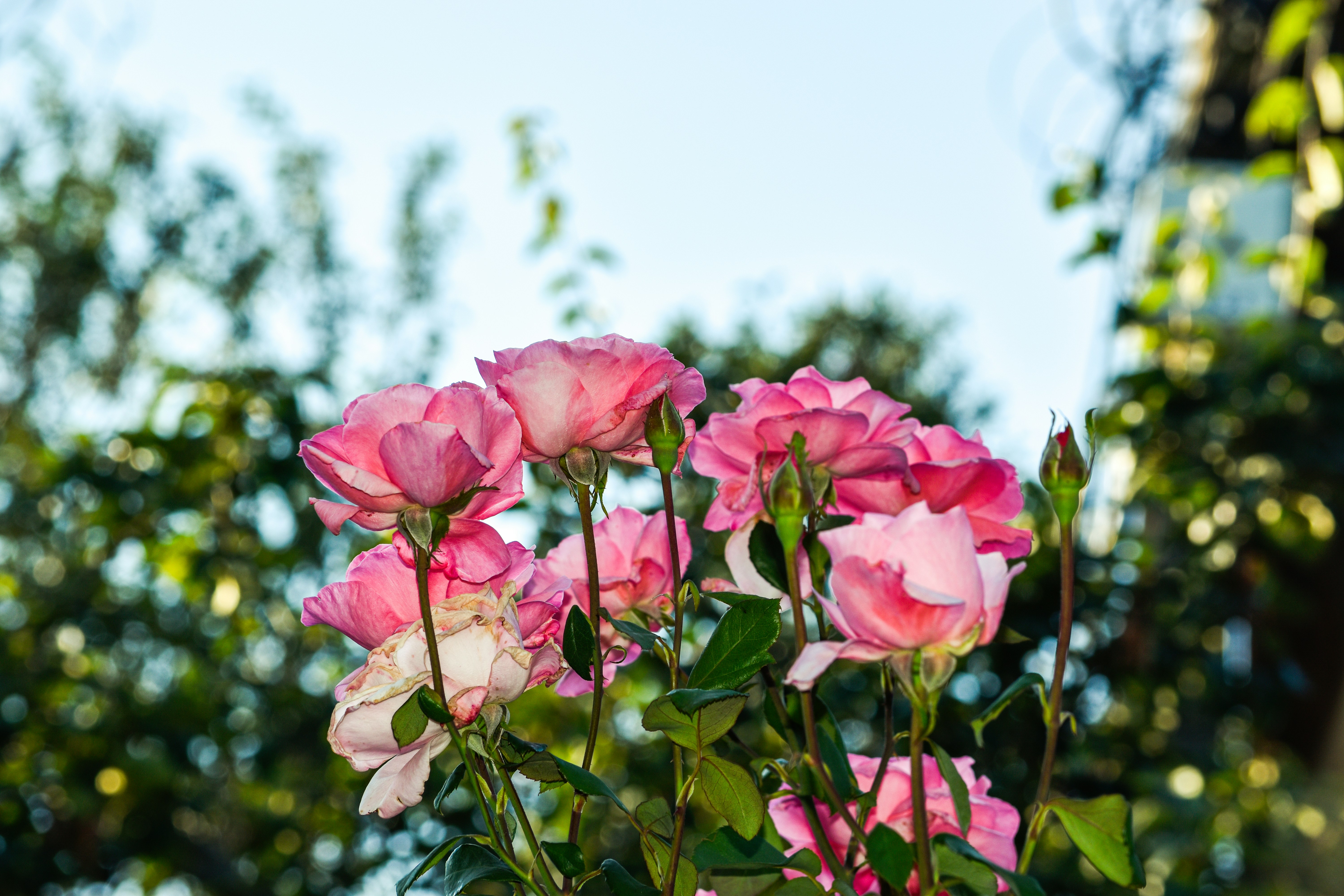 Photo by poltergeisti