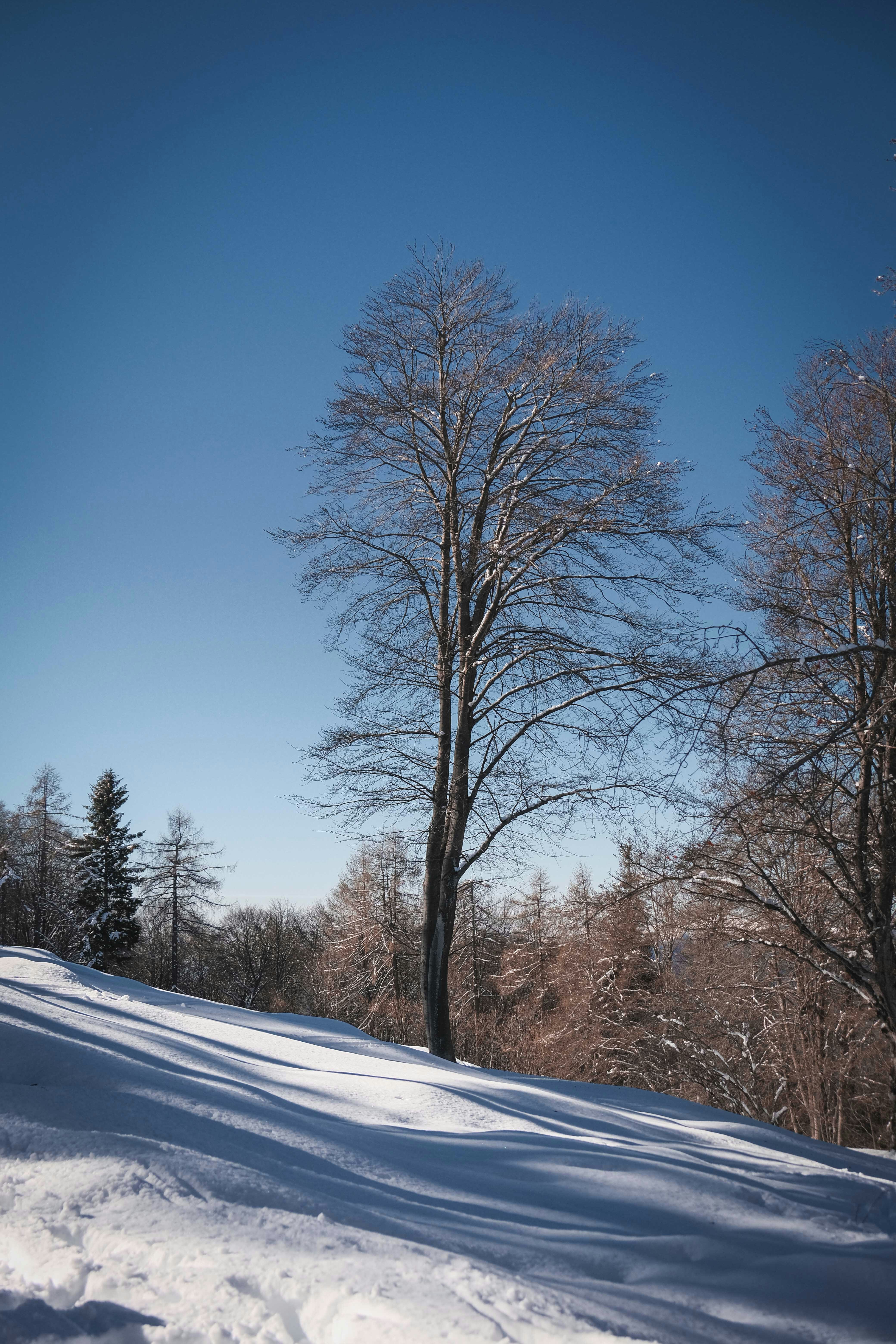 Photo by francesco_ungaro